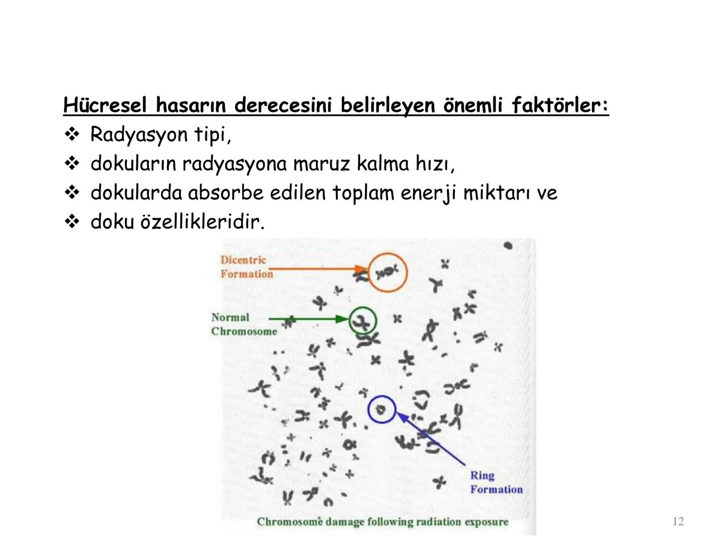 # BİYOFİZİĞE GİRİŞ
Doç. Dr. Nurten Bahtiyar Canlı varlıkların yapı ve işlevleri, tek bir disiplinin
içinden çıkamayacağı kadar karmaşıktır.