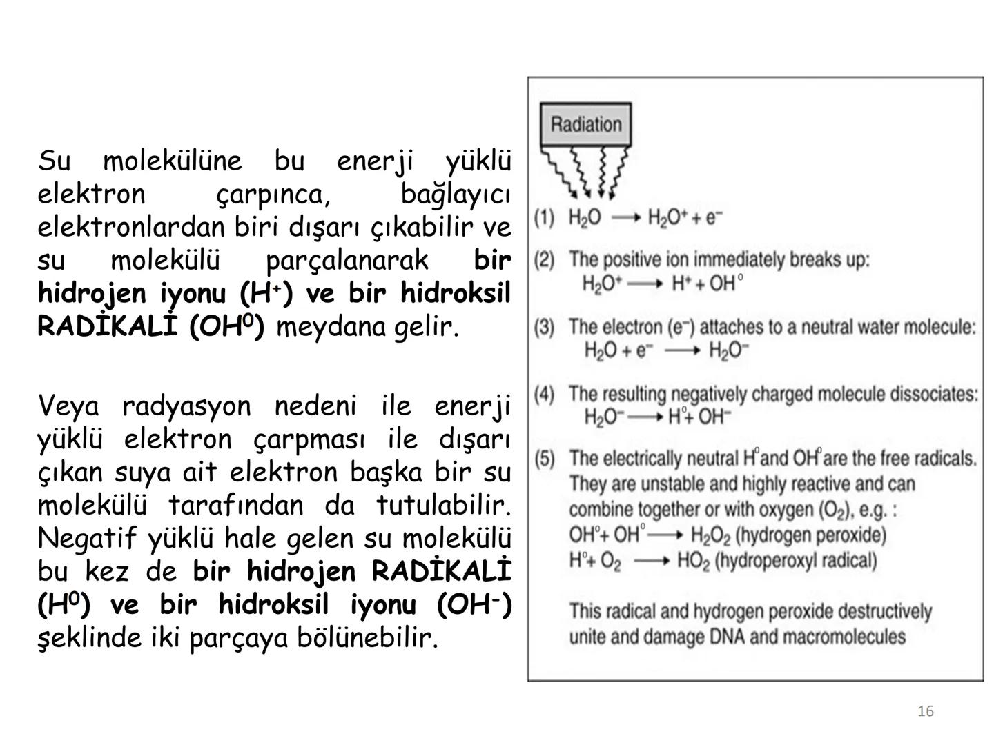 # BİYOFİZİĞE GİRİŞ
Doç. Dr. Nurten Bahtiyar Canlı varlıkların yapı ve işlevleri, tek bir disiplinin
içinden çıkamayacağı kadar karmaşıktır.