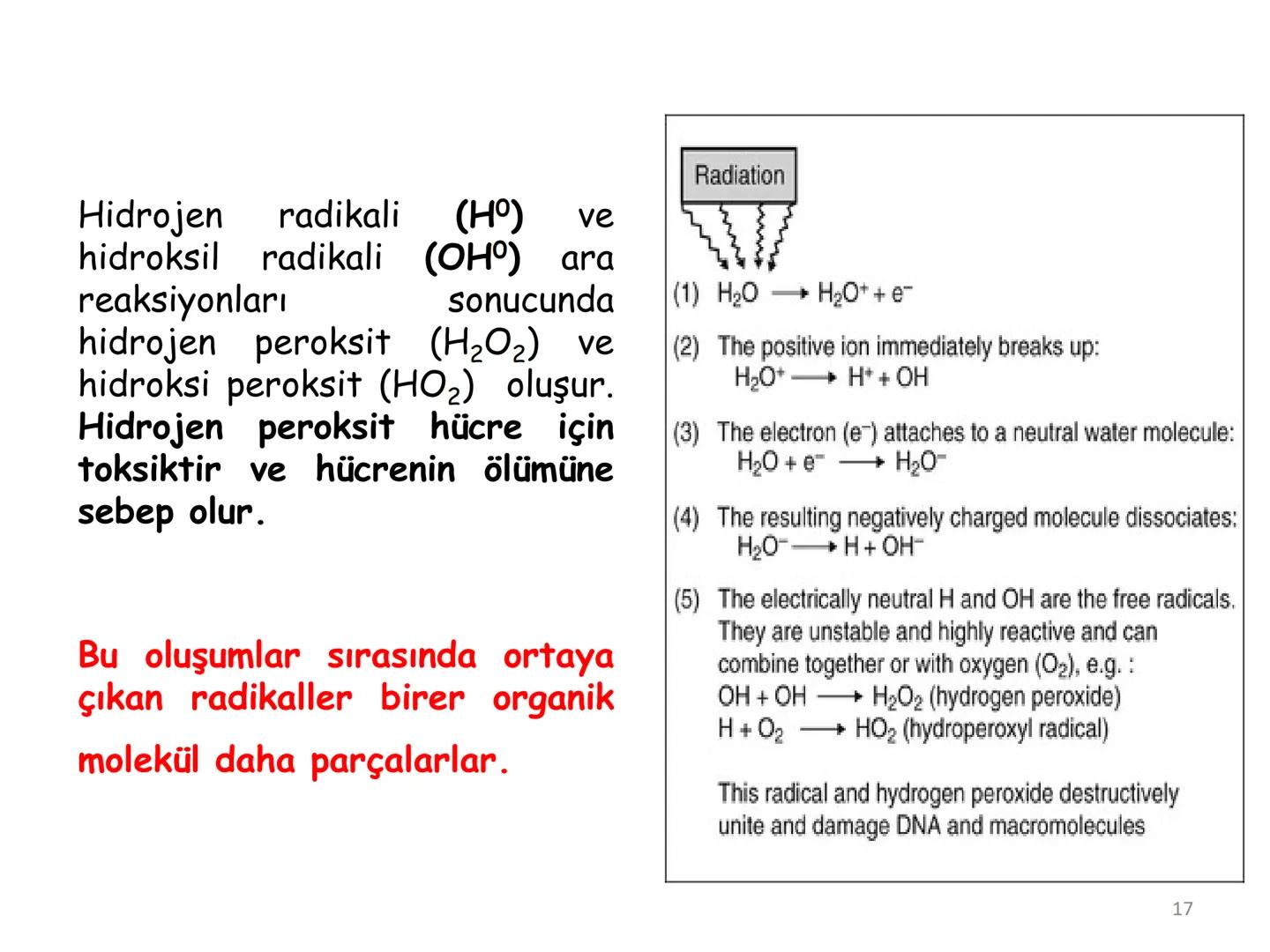# BİYOFİZİĞE GİRİŞ
Doç. Dr. Nurten Bahtiyar Canlı varlıkların yapı ve işlevleri, tek bir disiplinin
içinden çıkamayacağı kadar karmaşıktır.