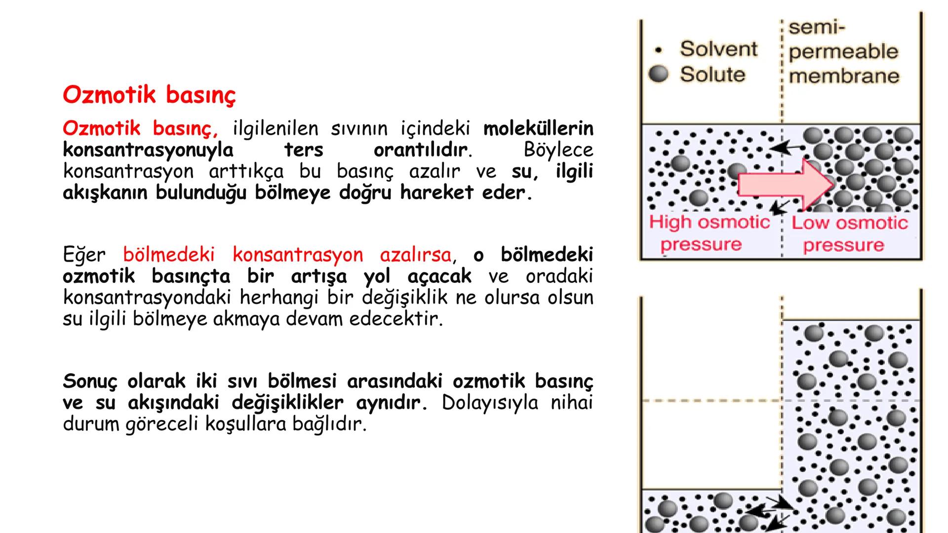 # BİYOFİZİĞE GİRİŞ
Doç. Dr. Nurten Bahtiyar Canlı varlıkların yapı ve işlevleri, tek bir disiplinin
içinden çıkamayacağı kadar karmaşıktır.