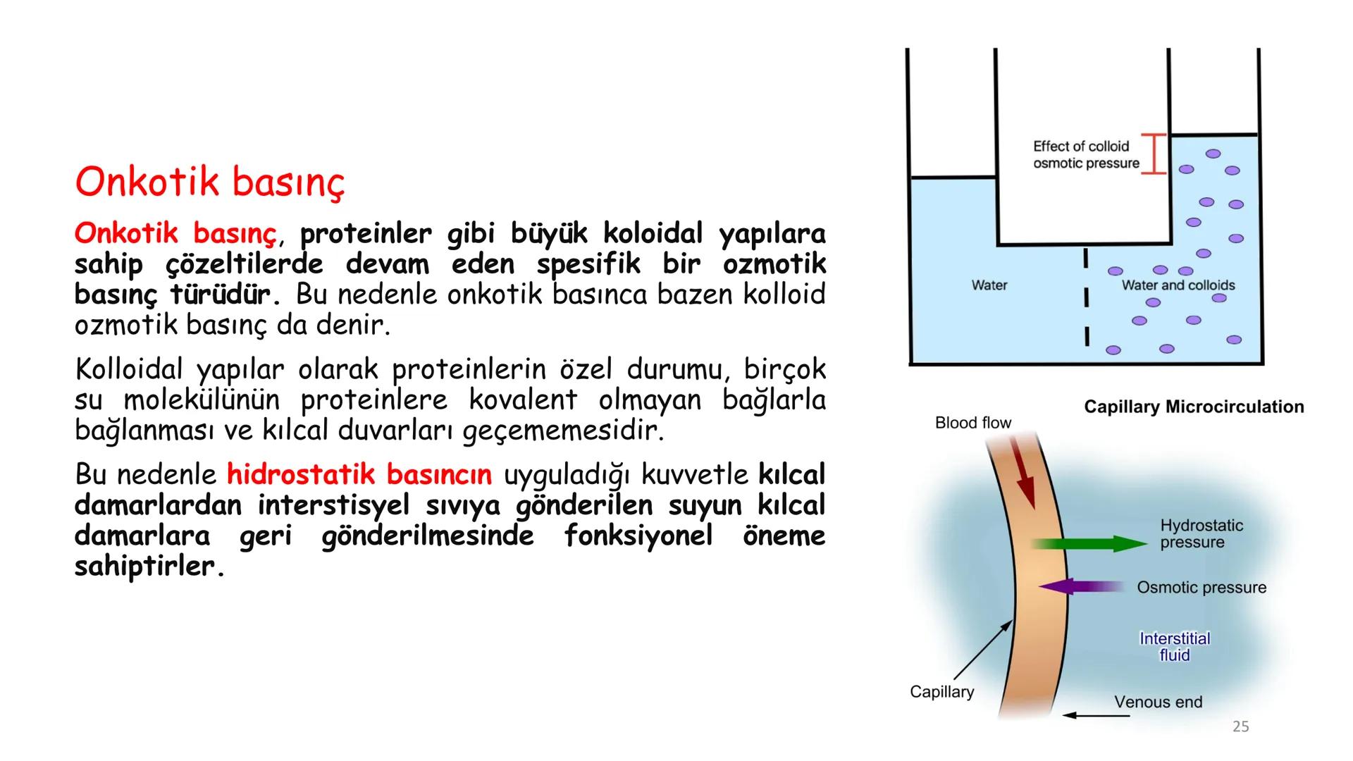 # BİYOFİZİĞE GİRİŞ
Doç. Dr. Nurten Bahtiyar Canlı varlıkların yapı ve işlevleri, tek bir disiplinin
içinden çıkamayacağı kadar karmaşıktır.
