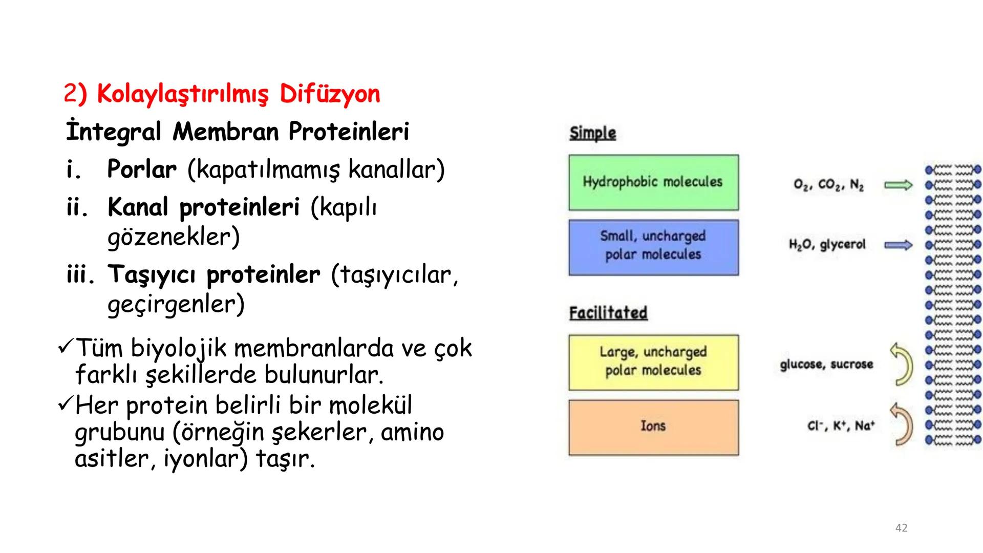 # BİYOFİZİĞE GİRİŞ
Doç. Dr. Nurten Bahtiyar Canlı varlıkların yapı ve işlevleri, tek bir disiplinin
içinden çıkamayacağı kadar karmaşıktır.