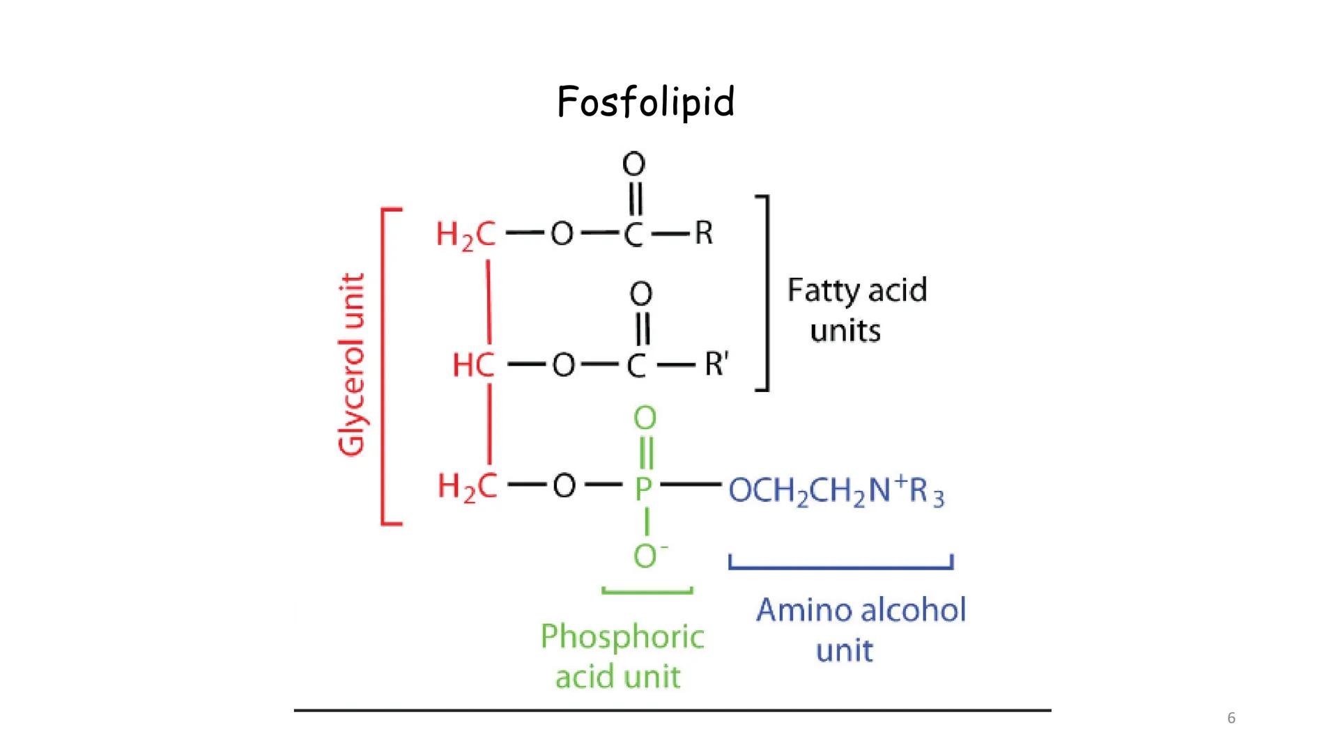 # BİYOFİZİĞE GİRİŞ
Doç. Dr. Nurten Bahtiyar Canlı varlıkların yapı ve işlevleri, tek bir disiplinin
içinden çıkamayacağı kadar karmaşıktır.