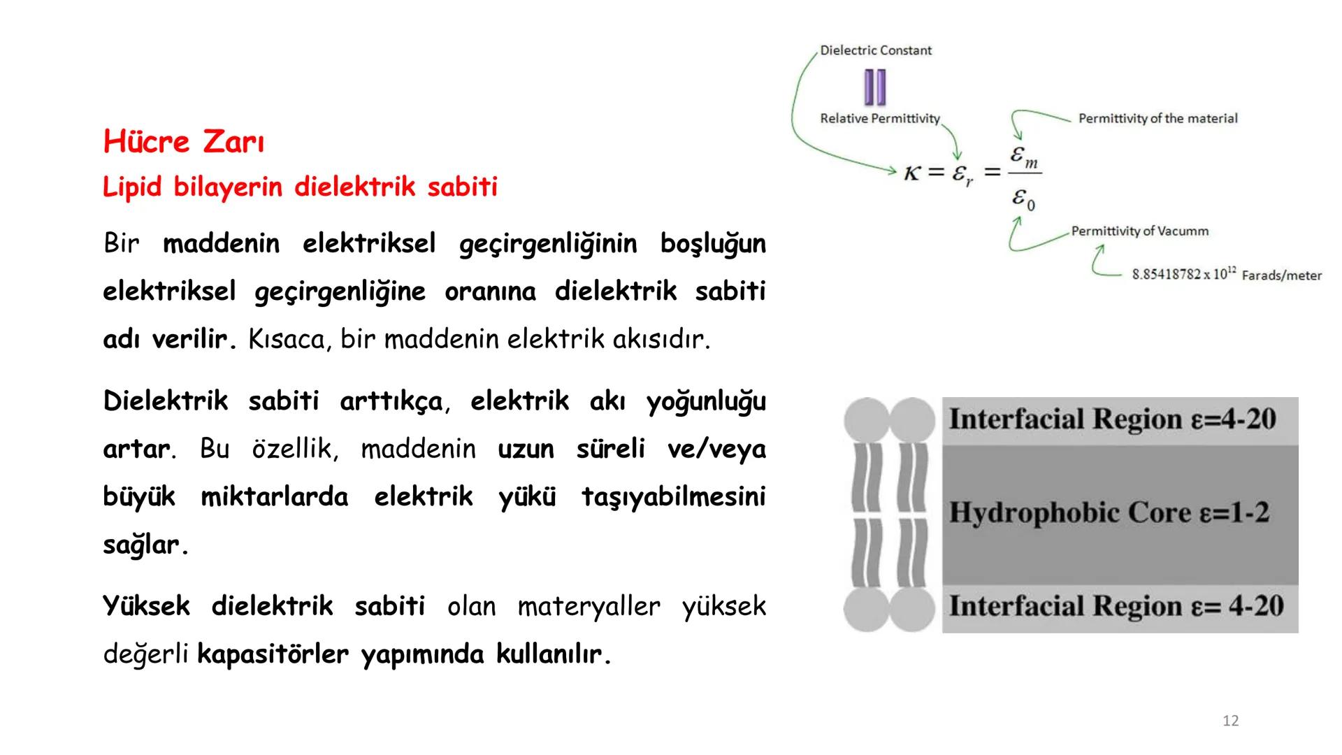 # BİYOFİZİĞE GİRİŞ
Doç. Dr. Nurten Bahtiyar Canlı varlıkların yapı ve işlevleri, tek bir disiplinin
içinden çıkamayacağı kadar karmaşıktır.