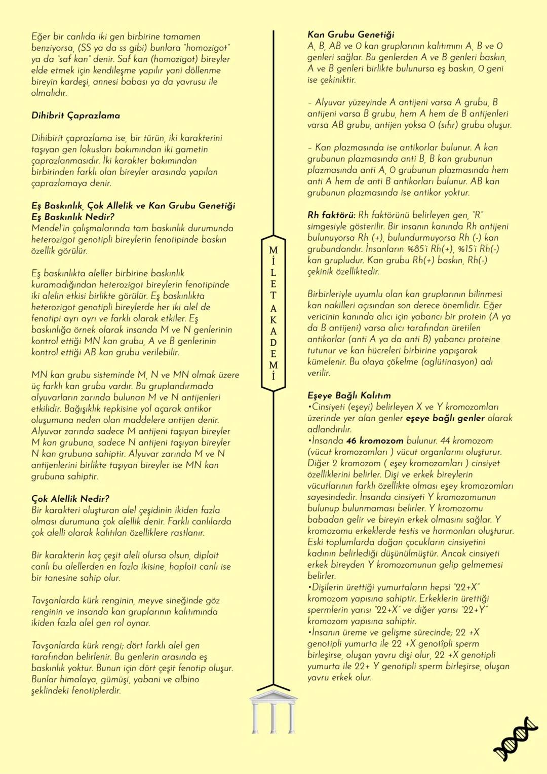 # MİLET AKADEMİ
2024 - 2025 Konu Özetleri
Youtube kanalımıza abone olmayı unutmayın! # MİLET AKADEMİ
# BİYOLOJİ
# KONU ÖZETİ CANLILARIN OR