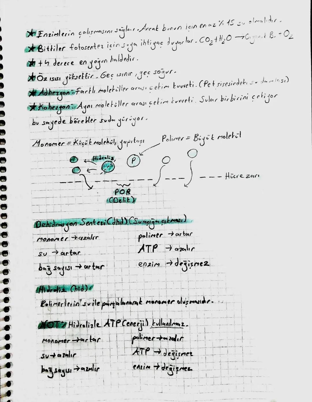 # İNORGANİK BİLEŞİKLER
* İnorganik Bileşikler → Su, tuz, asit, baz, mineral
* Enerji vermezler. * Düzenleyici dirler.
* Canlı vücuda üret