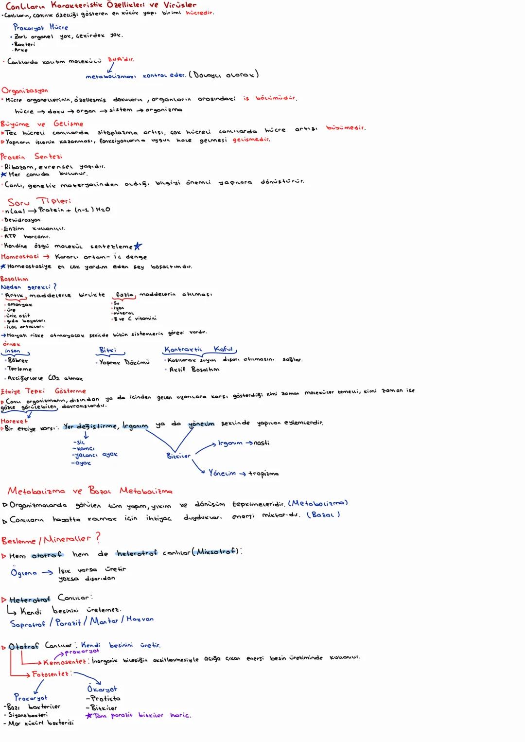 Canlıların Karakteristik Özellikleri ve Virüsler