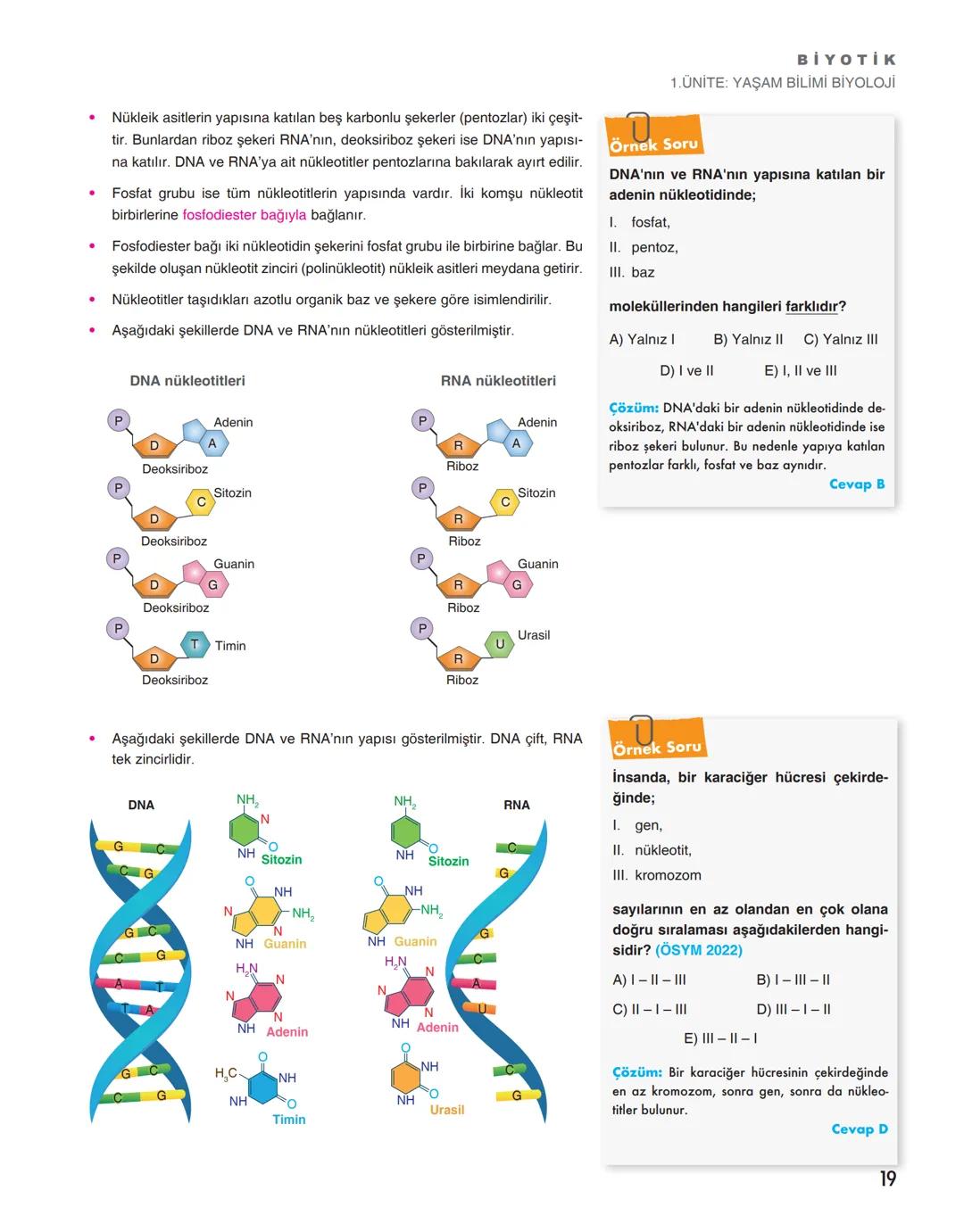 Biyotik
TYT
BİYOLOJİ
Konu Anlatım
Föyleri
Aslan AYDIN
Canset YILDIZ
WhatsApp İletişim Hattı
0 543 411 53 09
Akıllı Tahta Uyumlu
Video Anlatı