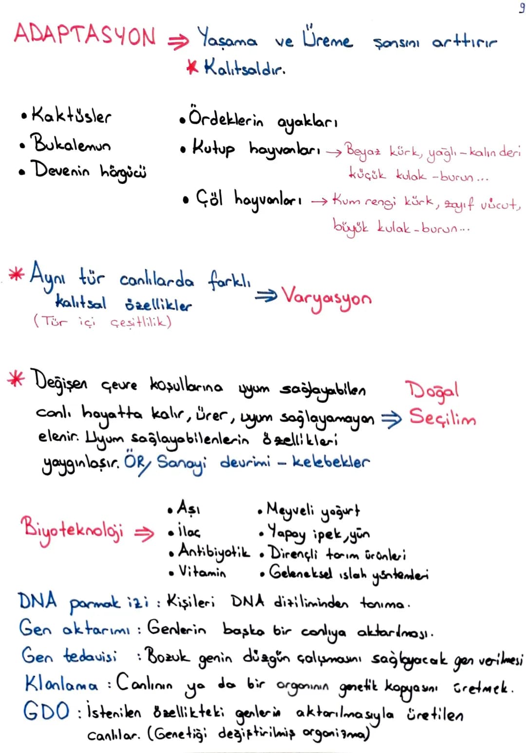 8 sınıf 1 dönem full ders konu anlatımları – 44. sayfa