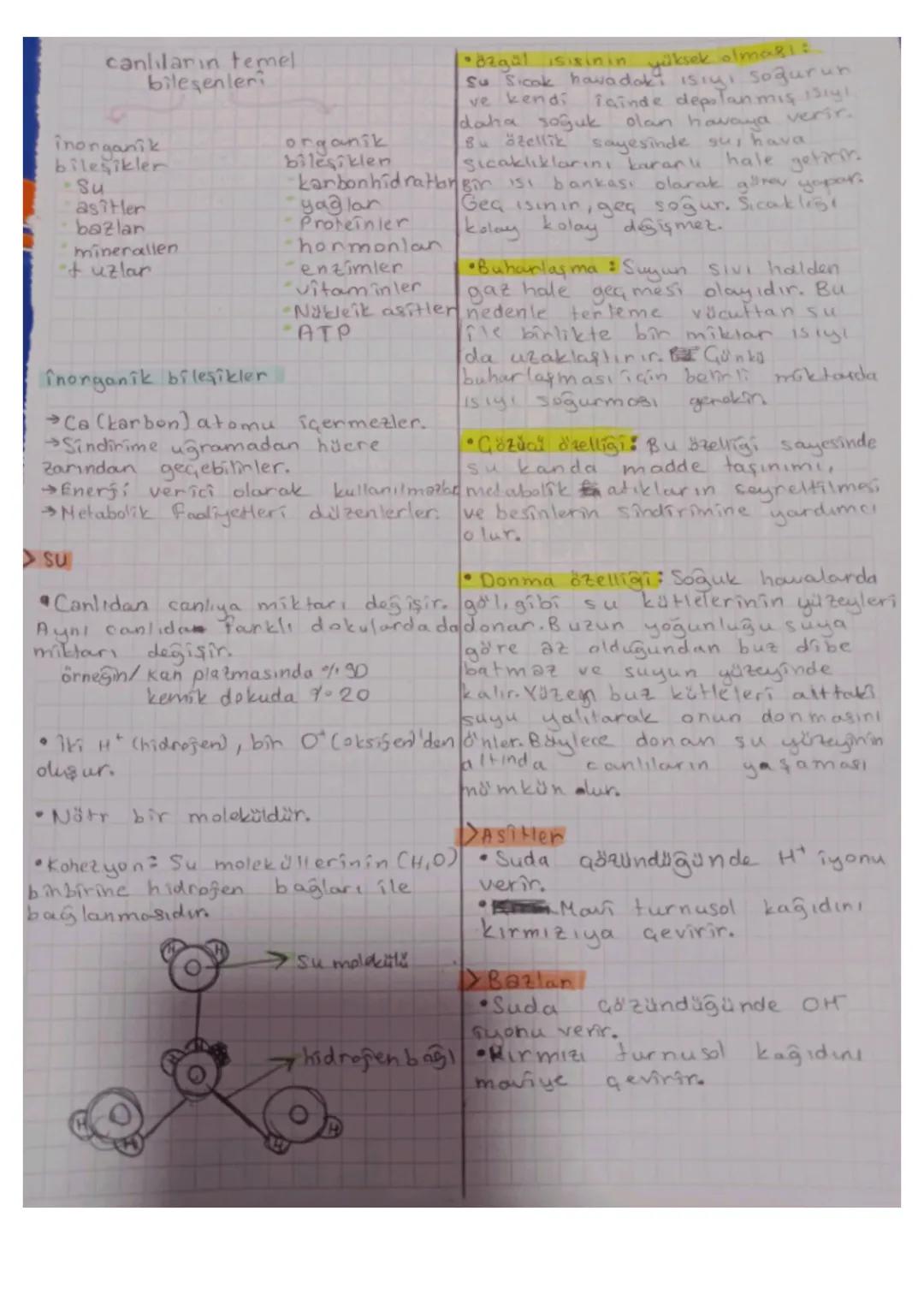 Canlılar Ortak Özellikleri ve İnorganik Bileşikler