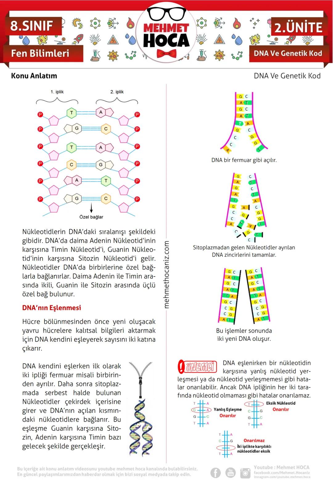 # 8.SINIF
Fen Bilimleri
Konu Anlatım
Kalıtım Yapıları
Kalıtım yapılarının büyükten küçüğe sıralanışı:
1-Kromozom > 2-DNA > 3-Gen > 4-Nük