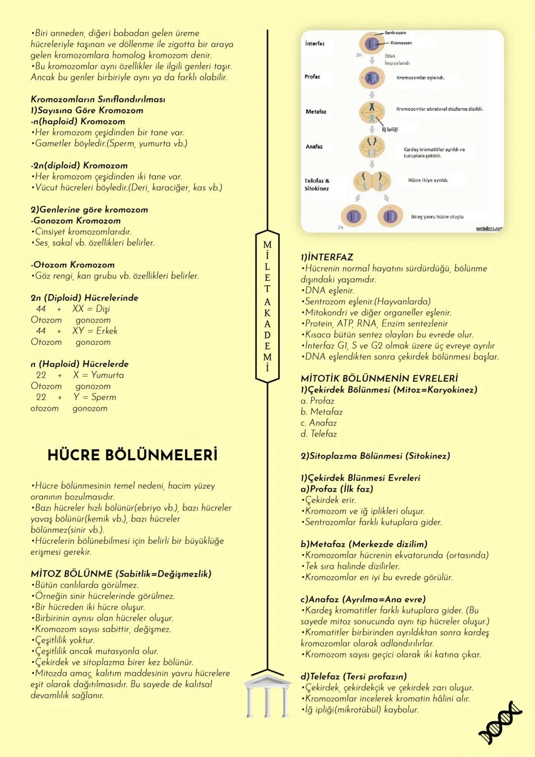 # MİLET AKADEMİ
2024 - 2025 Konu Özetleri
Youtube kanalımıza abone olmayı unutmayın! # MİLLET AKADEMİ
# BİYOLOJİ
# KONU ÖZETİ CANLILARIN O