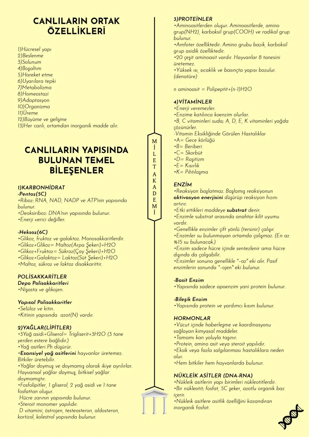 # MİLET AKADEMİ
2024 - 2025 Konu Özetleri
Youtube kanalımıza abone olmayı unutmayın! # MİLLET AKADEMİ
# BİYOLOJİ
# KONU ÖZETİ CANLILARIN O