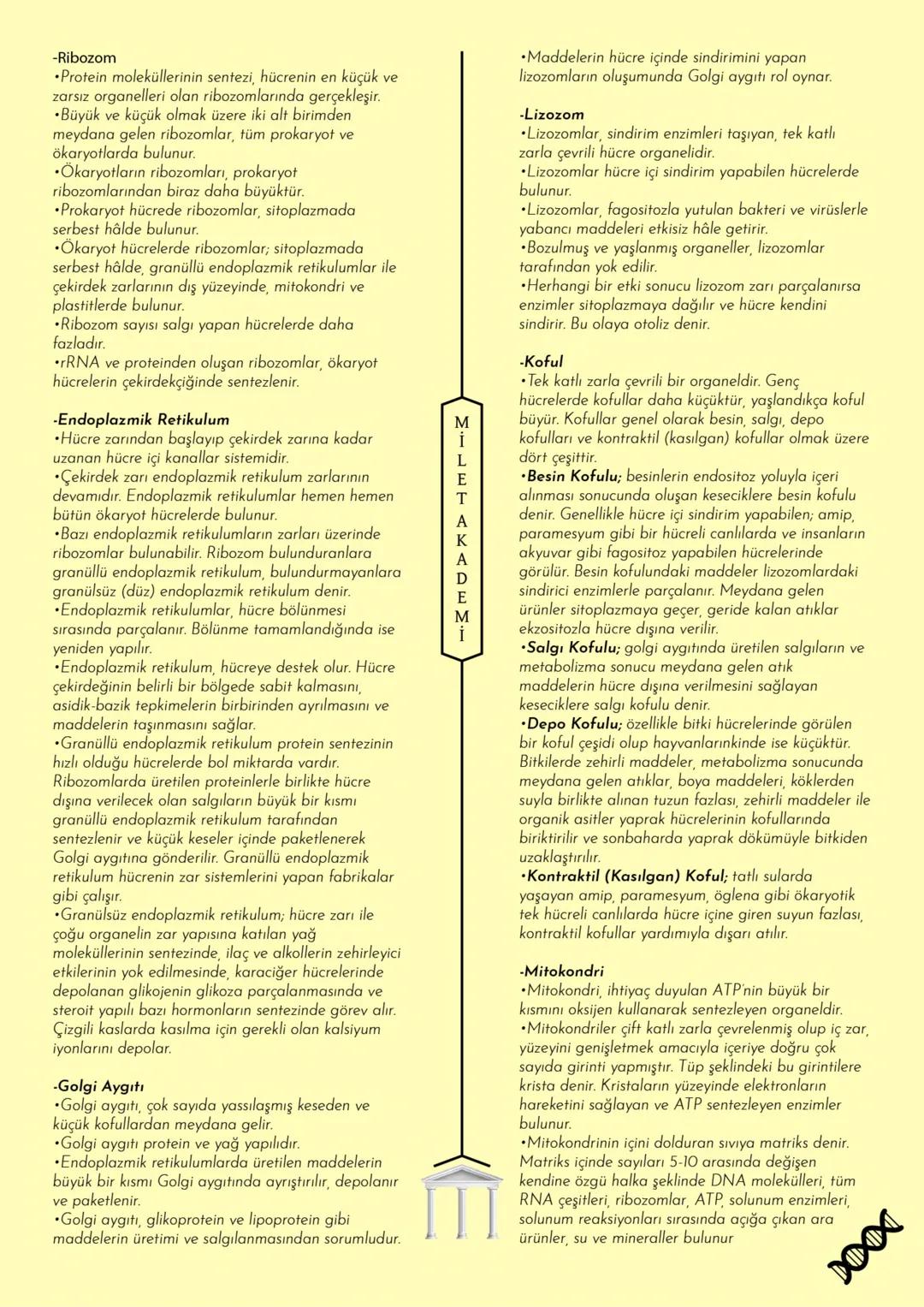 # MİLET AKADEMİ
2024 - 2025 Konu Özetleri
Youtube kanalımıza abone olmayı unutmayın! # MİLLET AKADEMİ
# BİYOLOJİ
# KONU ÖZETİ CANLILARIN O