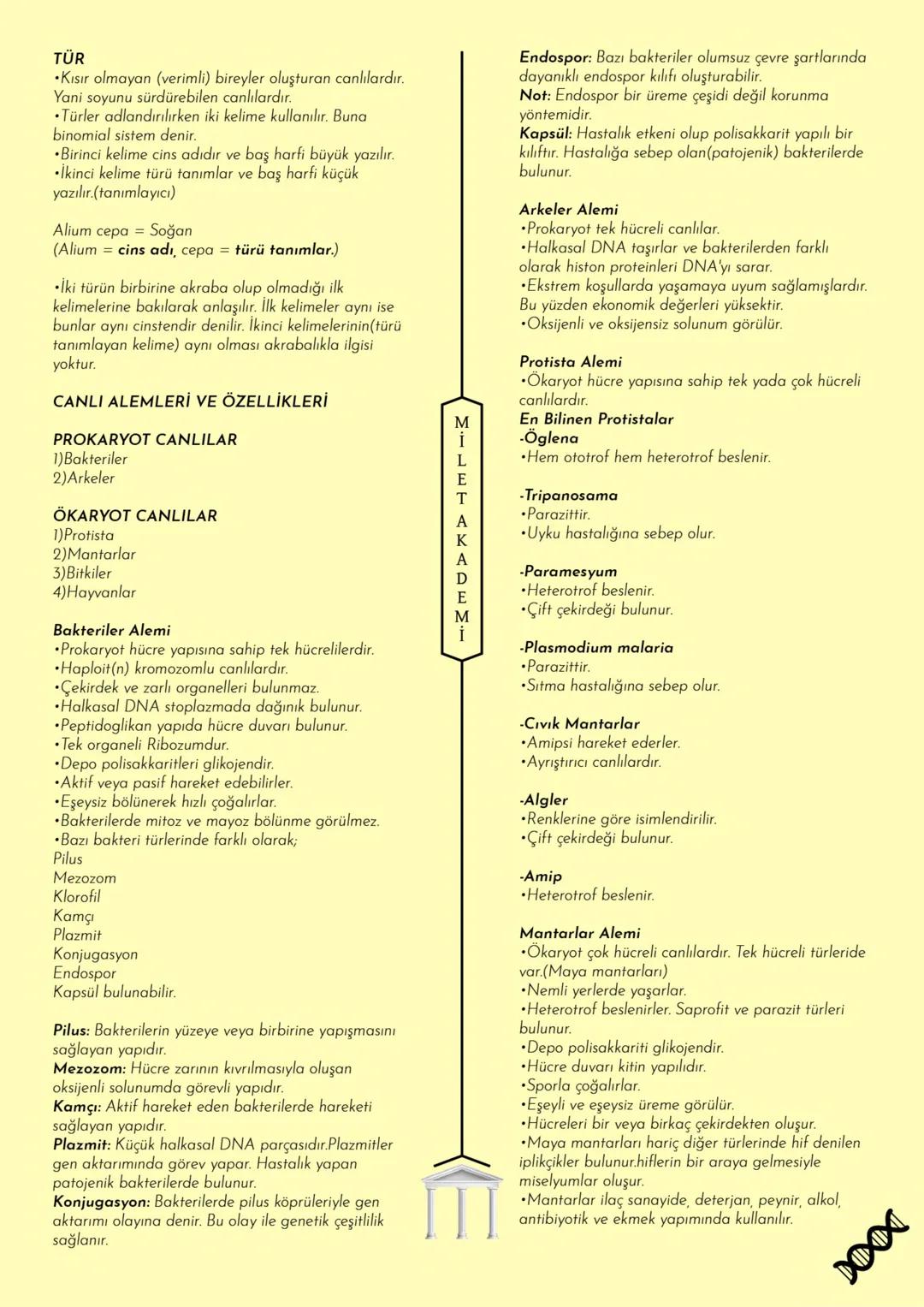 # MİLET AKADEMİ
2024 - 2025 Konu Özetleri
Youtube kanalımıza abone olmayı unutmayın! # MİLLET AKADEMİ
# BİYOLOJİ
# KONU ÖZETİ CANLILARIN O