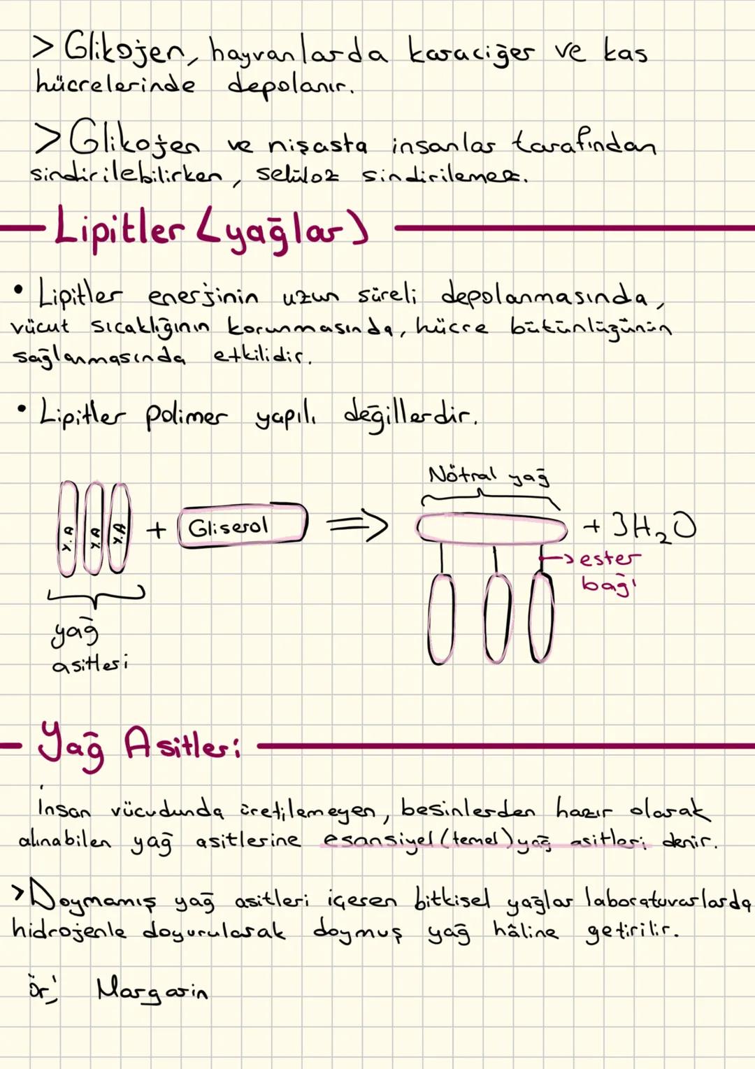 Organik Moleküller
• Canlılar tarafından sentezlenir, dışarıdan hazır
alınmazlar.
• Organik moleküllerin en küçük yapı taşına monomer
denir