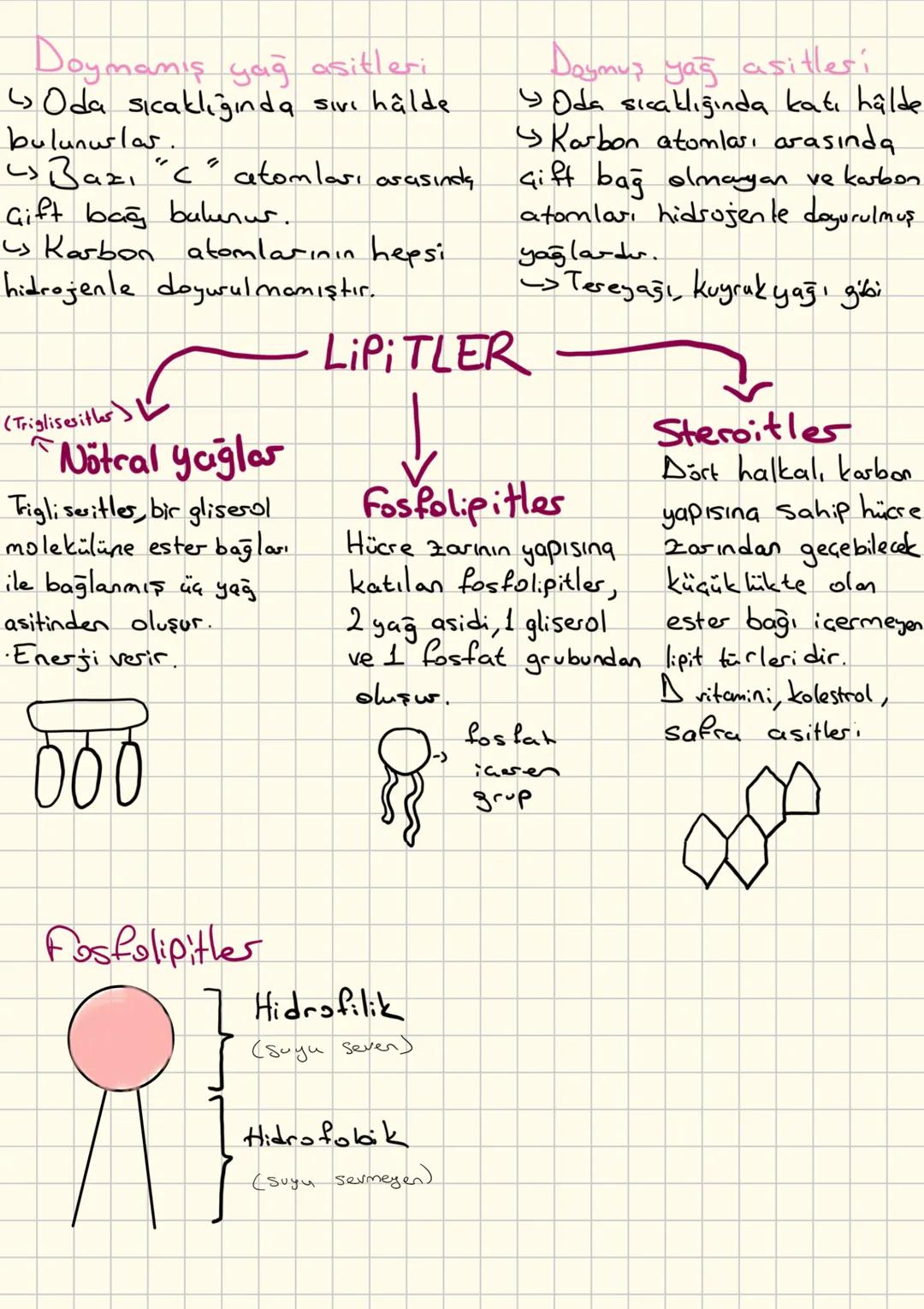 Organik Moleküller
• Canlılar tarafından sentezlenir, dışarıdan hazır
alınmazlar.
• Organik moleküllerin en küçük yapı taşına monomer
denir