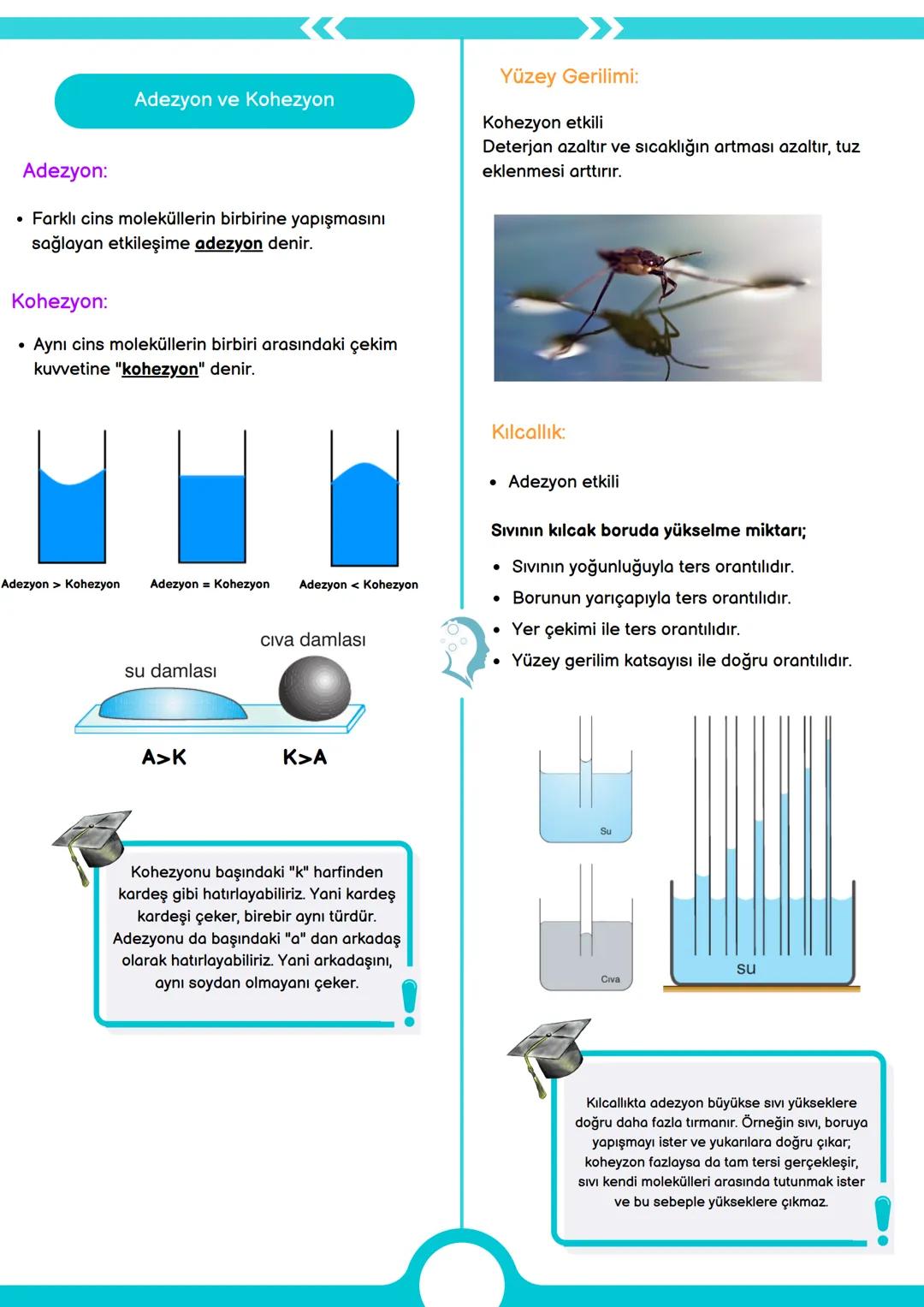 --- OCR Start ---
FİZİK BİLİMİNE GİRİŞ
1.
ÜNİTE
KONU
ANLATIMI
Fiziğin Alt Dalları
Türetilmiş Büyüklükler:
Türetilmiş
Büyüklükler
Sembolü
SI