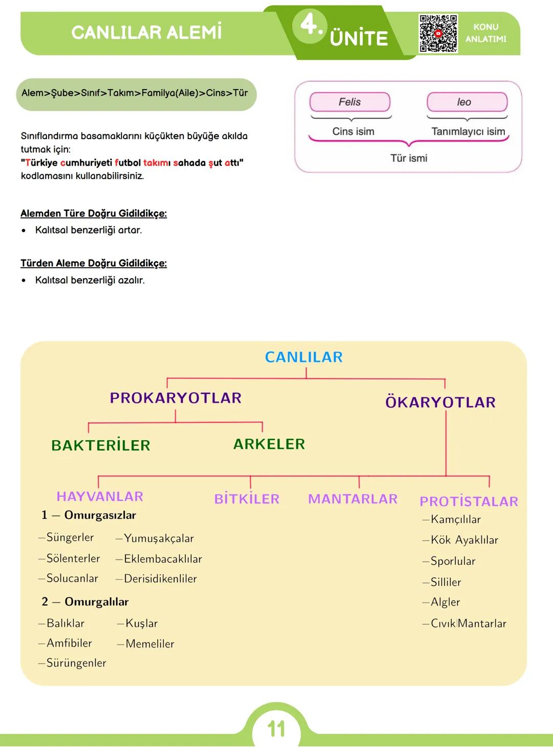 CANLILARIN ORTAK ÖZELLİKLERİ
1) HÜCRESEL YAPI
Tüm canlılar hücrelerden oluşur ve hücresel yapı
gösterir yani hücre canlının yapısal ve işlev