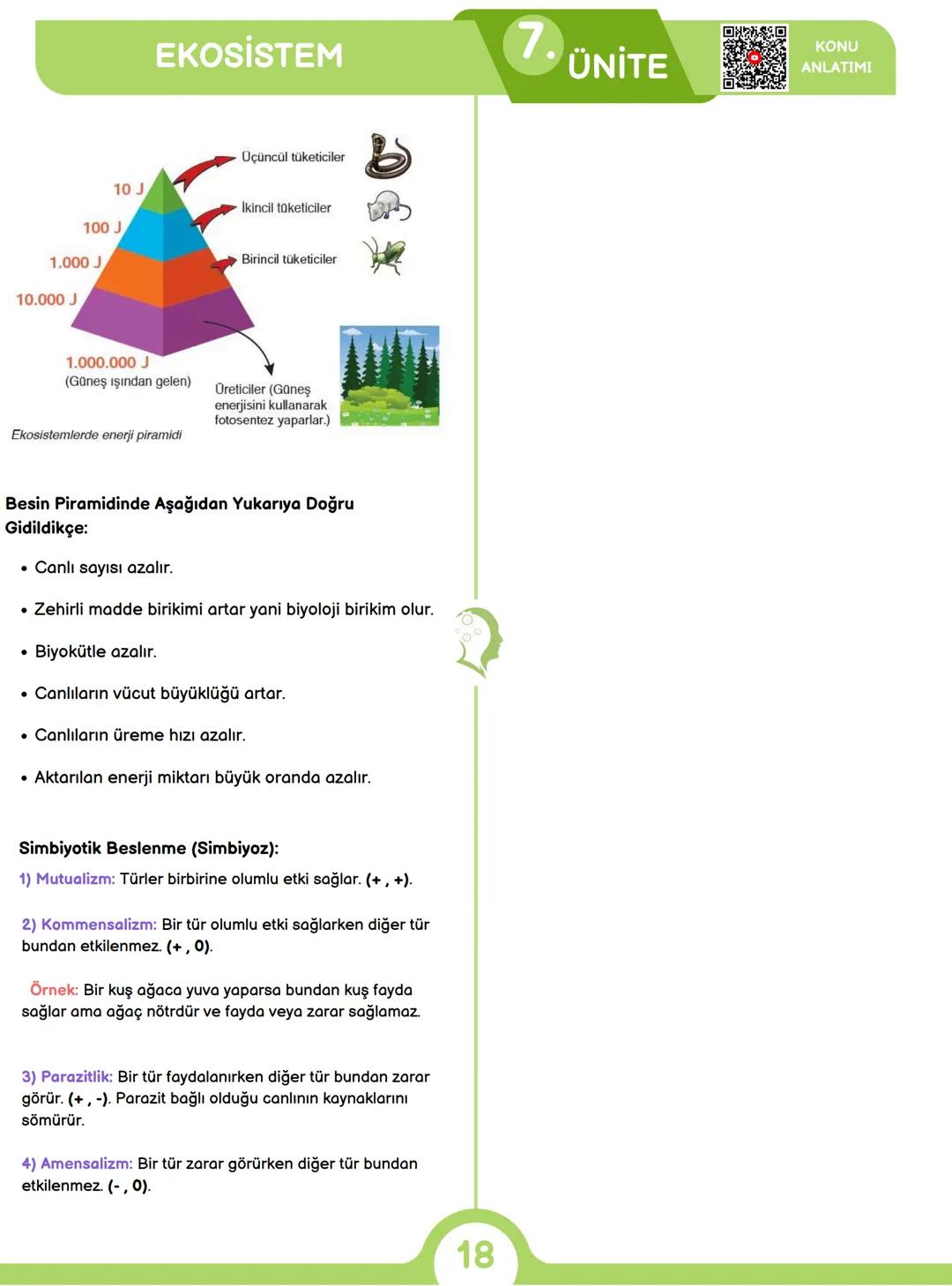 CANLILARIN ORTAK ÖZELLİKLERİ
1) HÜCRESEL YAPI
Tüm canlılar hücrelerden oluşur ve hücresel yapı
gösterir yani hücre canlının yapısal ve işlev