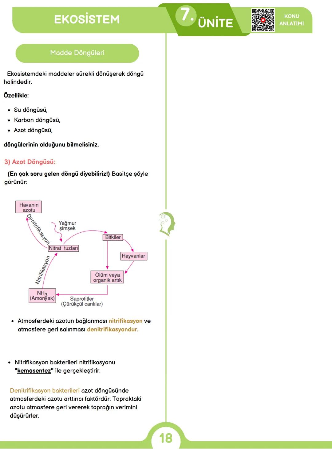 CANLILARIN ORTAK ÖZELLİKLERİ
1) HÜCRESEL YAPI
Tüm canlılar hücrelerden oluşur ve hücresel yapı
gösterir yani hücre canlının yapısal ve işlev