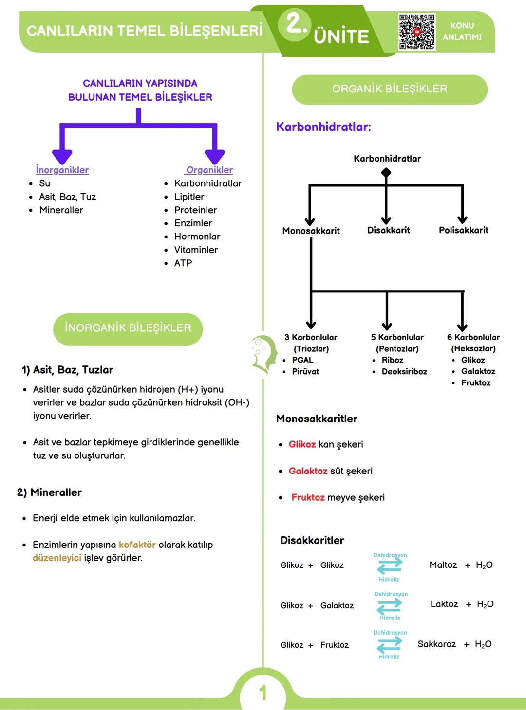 CANLILARIN ORTAK ÖZELLİKLERİ
1) HÜCRESEL YAPI
Tüm canlılar hücrelerden oluşur ve hücresel yapı
gösterir yani hücre canlının yapısal ve işlev