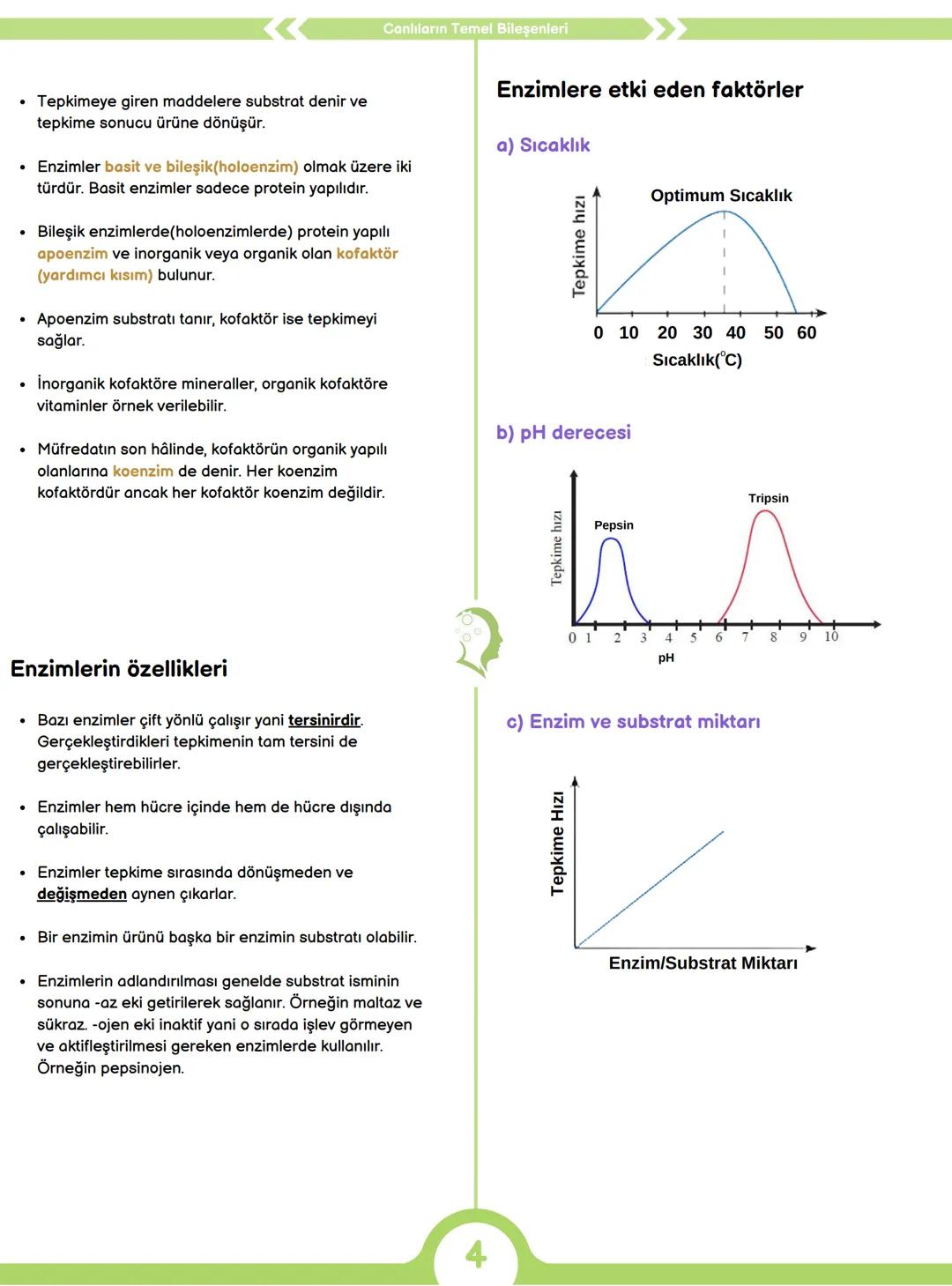 CANLILARIN ORTAK ÖZELLİKLERİ
1) HÜCRESEL YAPI
Tüm canlılar hücrelerden oluşur ve hücresel yapı
gösterir yani hücre canlının yapısal ve işlev