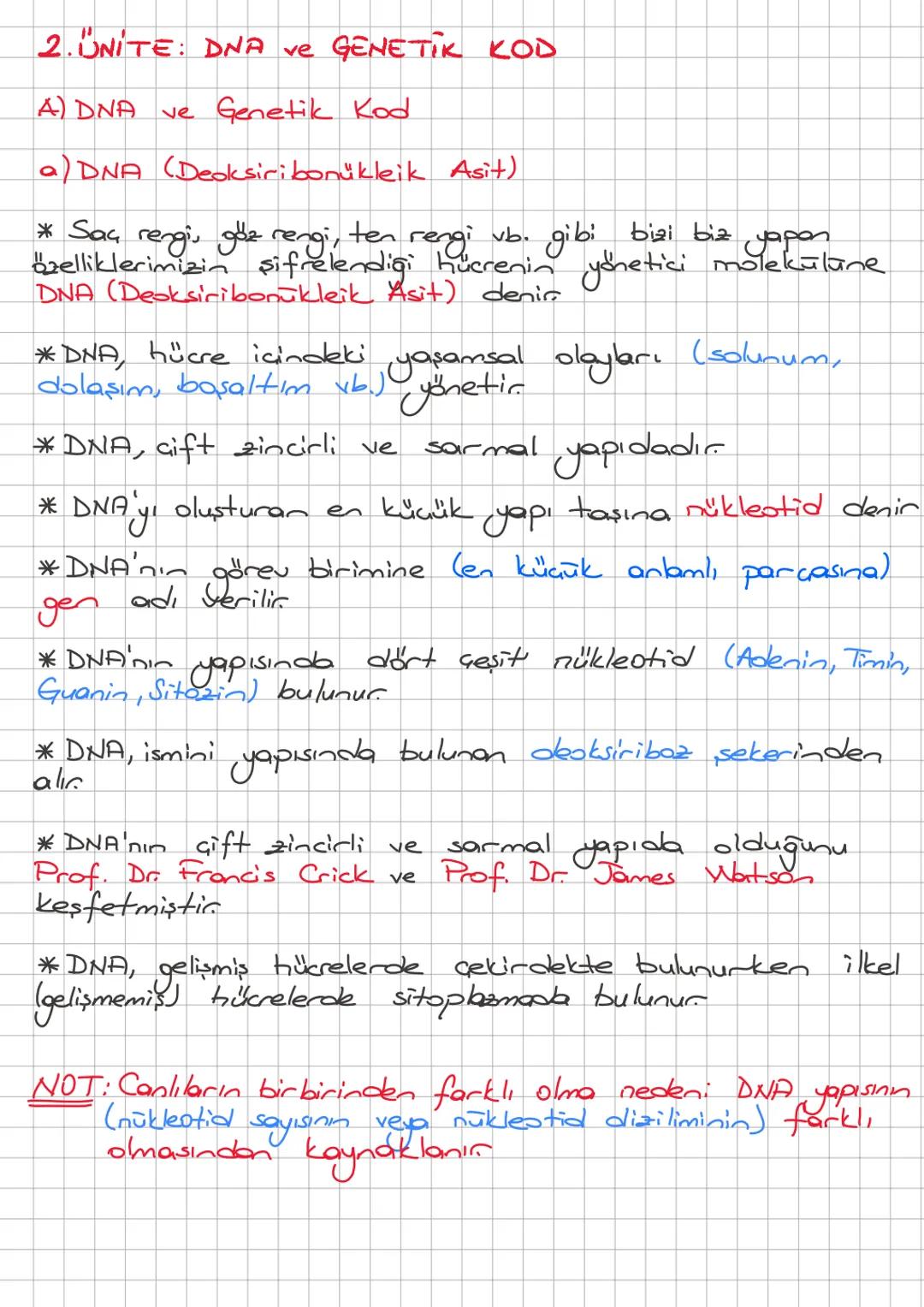 2. ÜNİTE: DNA ve GENETİK KOD
A) DNA ve Genetik Kod
a) DNA (Deoksiribonükleik Asit)
* Saç rengi, göz rengi, ten rengi vb. gibi bizi biz yapan