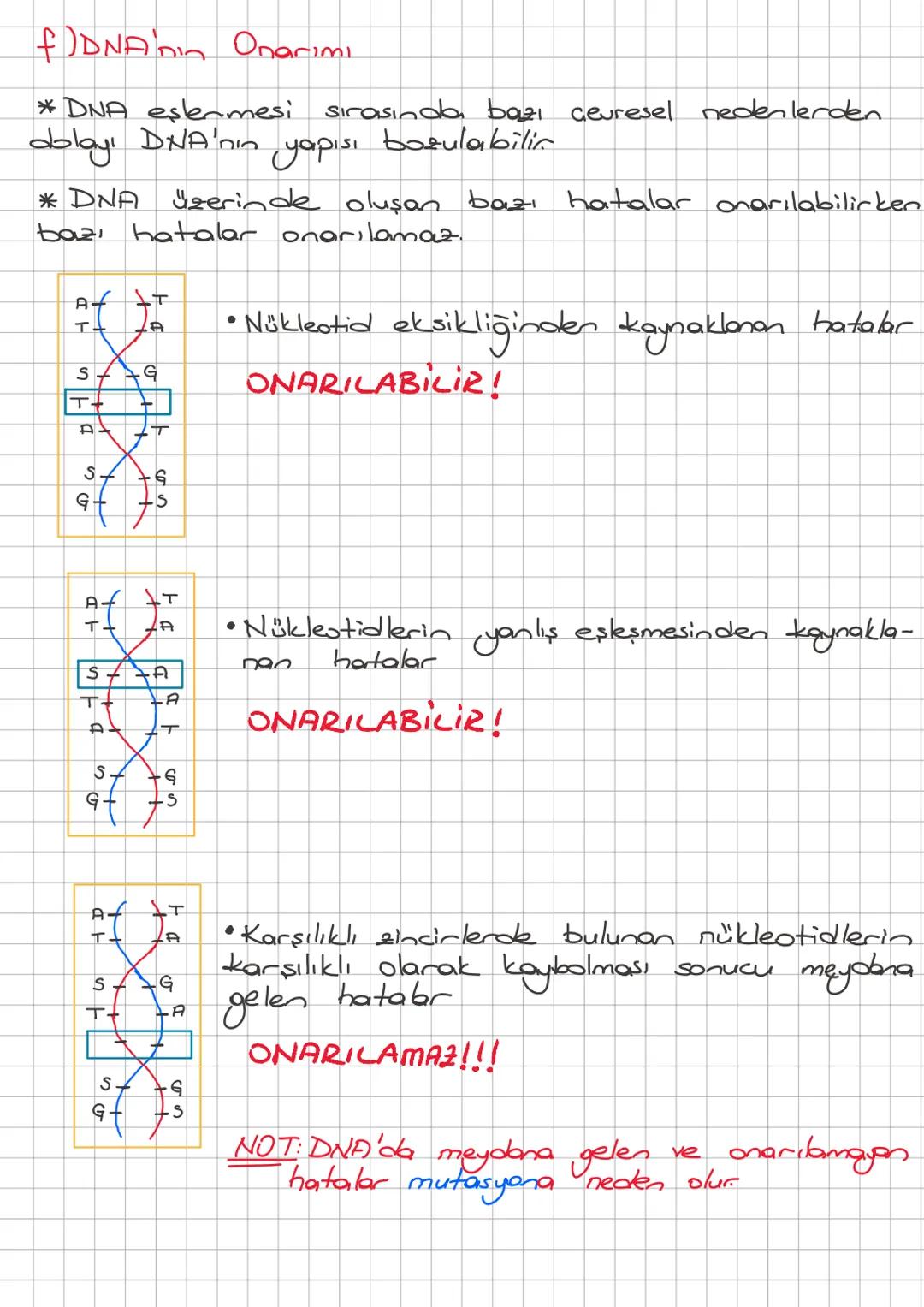 2. ÜNİTE: DNA ve GENETİK KOD
A) DNA ve Genetik Kod
a) DNA (Deoksiribonükleik Asit)
* Saç rengi, göz rengi, ten rengi vb. gibi bizi biz yapan