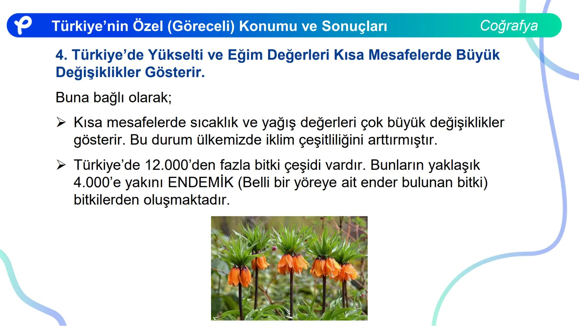 COĞRAFYA
TÜRKİYE'NİN COĞRAFİ
KONUMU ## TÜRKİYE'NİN ÖZEL (GÖRECELİ)
KONUMU VE SONUÇLARI Türkiye'nin Coğrafi Konumu
Başlangıç Merdiyeni
0°
2