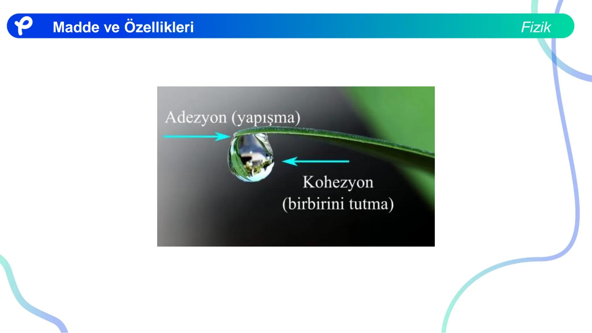 Fizik
MADDE VE ÖZELLİKLERİ ## Madde ve Özellikleri
**Madde:**
Kütlesi, hacmi ve eylemsizliği olan her şeye madde denir.
Fizik Madde ve Öze