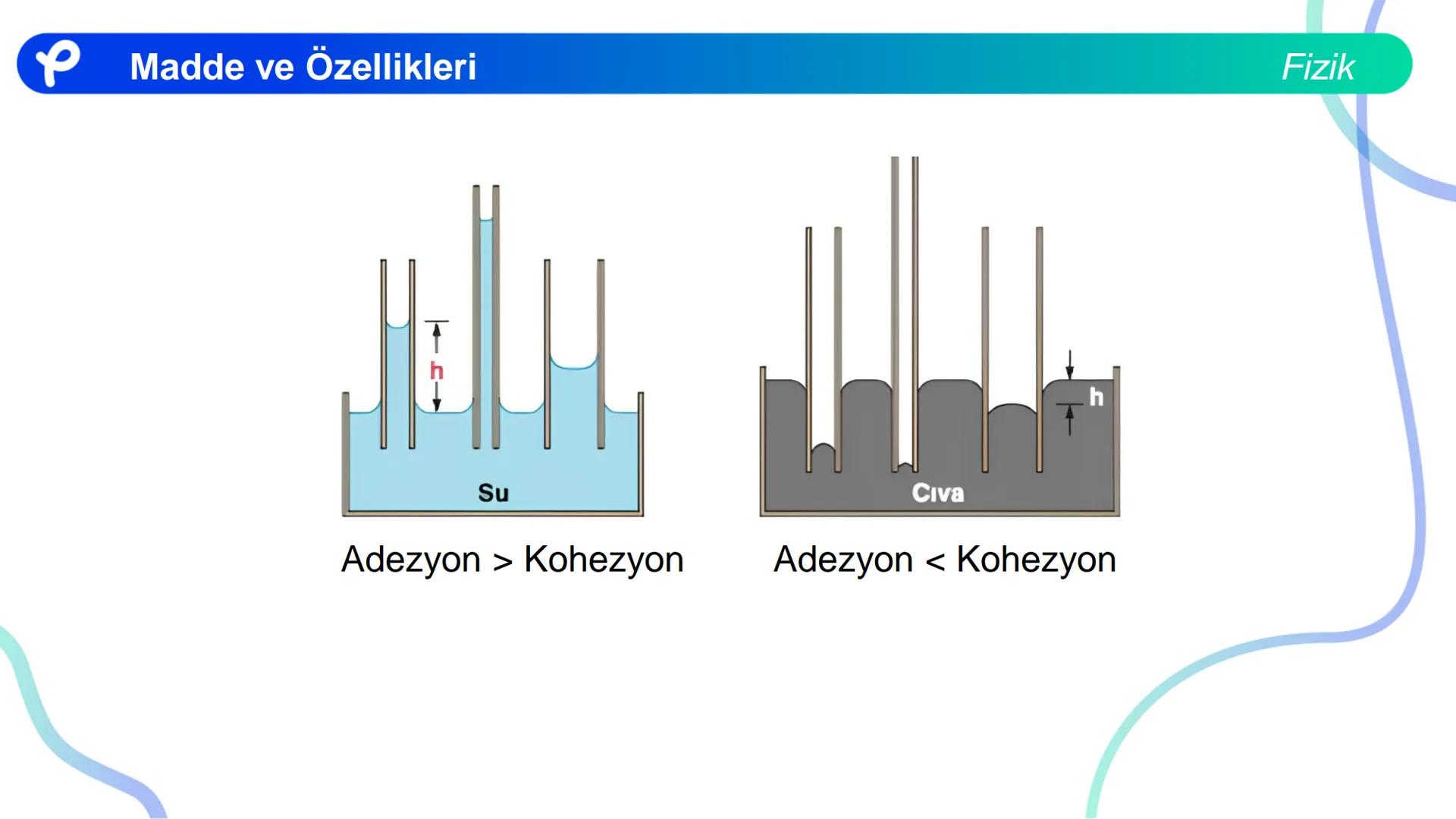 Fizik
MADDE VE ÖZELLİKLERİ ## Madde ve Özellikleri
**Madde:**
Kütlesi, hacmi ve eylemsizliği olan her şeye madde denir.
Fizik Madde ve Öze