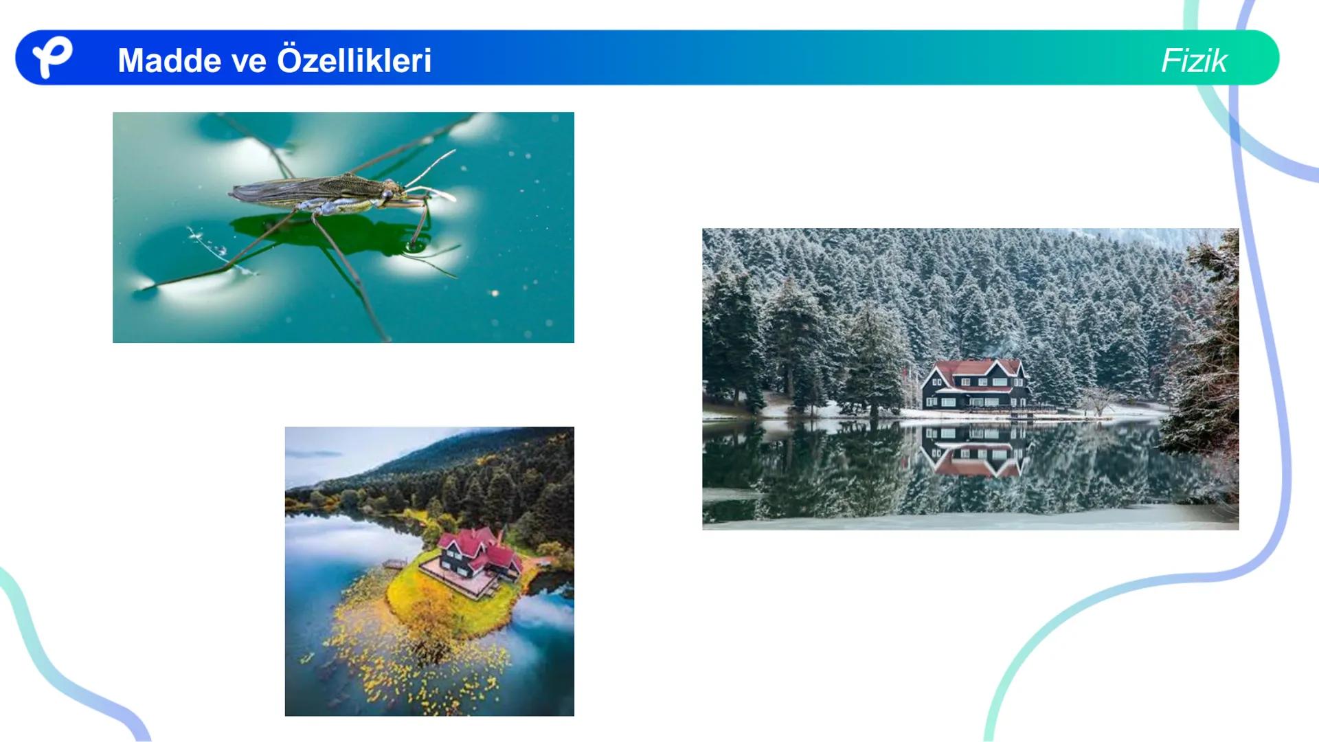 Fizik
MADDE VE ÖZELLİKLERİ ## Madde ve Özellikleri
**Madde:**
Kütlesi, hacmi ve eylemsizliği olan her şeye madde denir.
Fizik Madde ve Öze