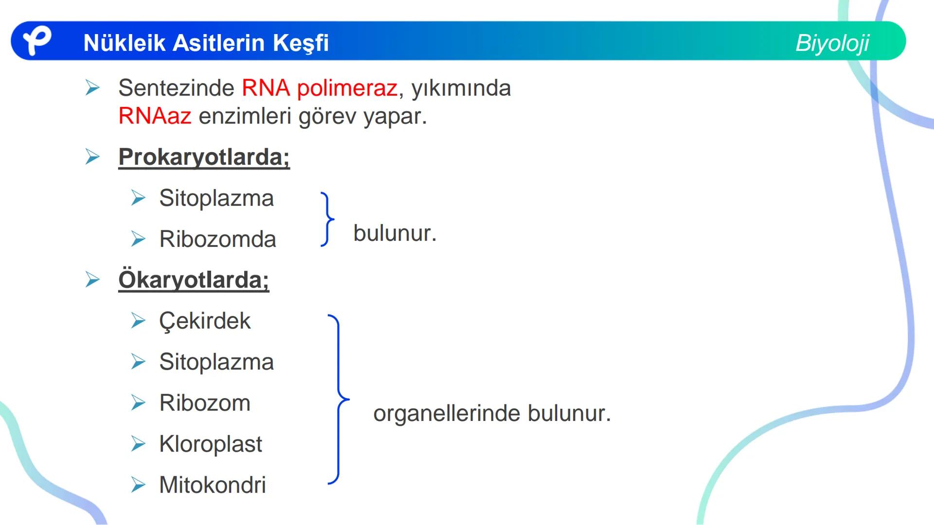 ## Biyoloji
## NÜKLEİK ASİTLERİN KEŞFİ # Nükleik Asitlerin Keşfi
Biyoloji
- İlk defa T. Friedrick Miescher 1869'da irin ve som balığı çek