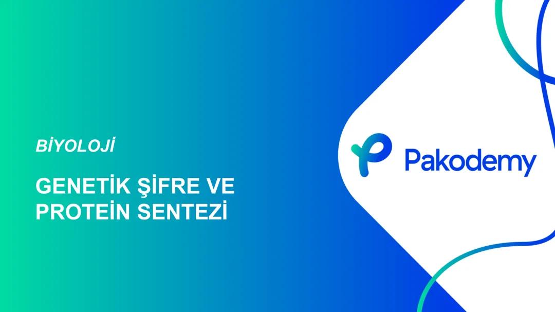 Nukleik asitler ve protein sentezi