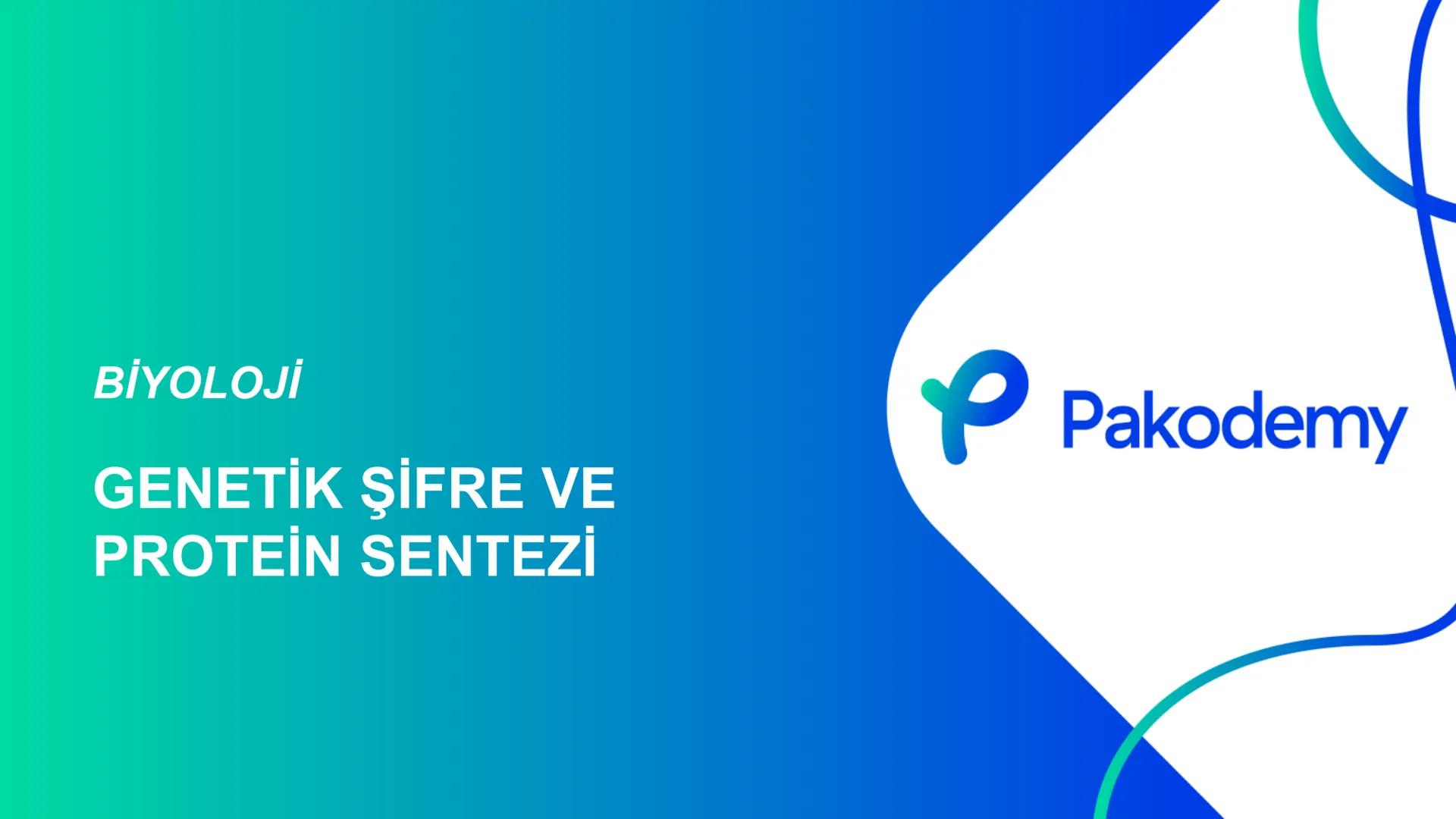 ## Biyoloji
## GENETİK ŞİFRE VE
## PROTEİN SENTEZİ ## Genetik Şifre ve Protein Sentezi
## Genetik Şifre
- **Şifre:** Bir bilgiyi bir form