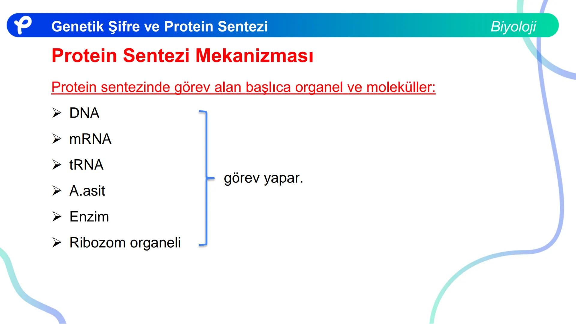 ## Biyoloji
## GENETİK ŞİFRE VE
## PROTEİN SENTEZİ ## Genetik Şifre ve Protein Sentezi
## Genetik Şifre
- **Şifre:** Bir bilgiyi bir form