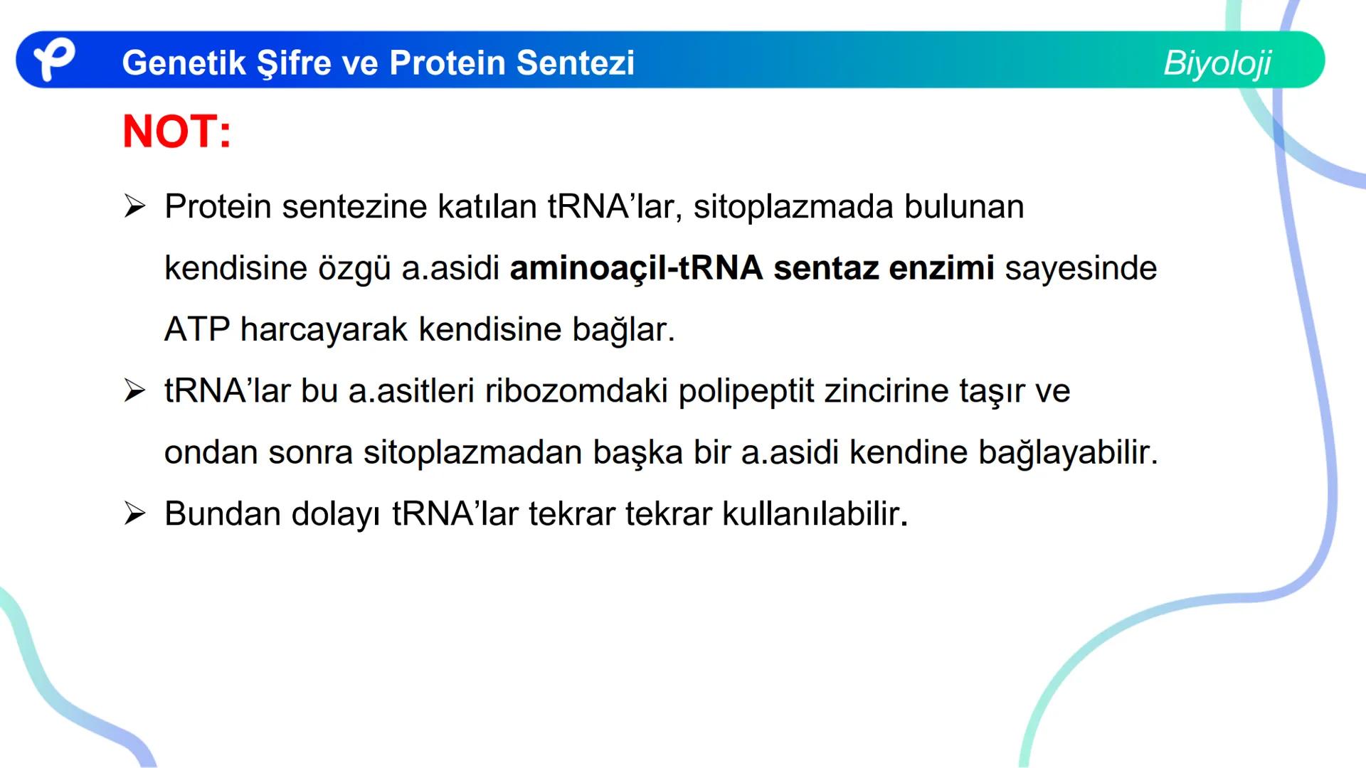 ## Biyoloji
## GENETİK ŞİFRE VE
## PROTEİN SENTEZİ ## Genetik Şifre ve Protein Sentezi
## Genetik Şifre
- **Şifre:** Bir bilgiyi bir form
