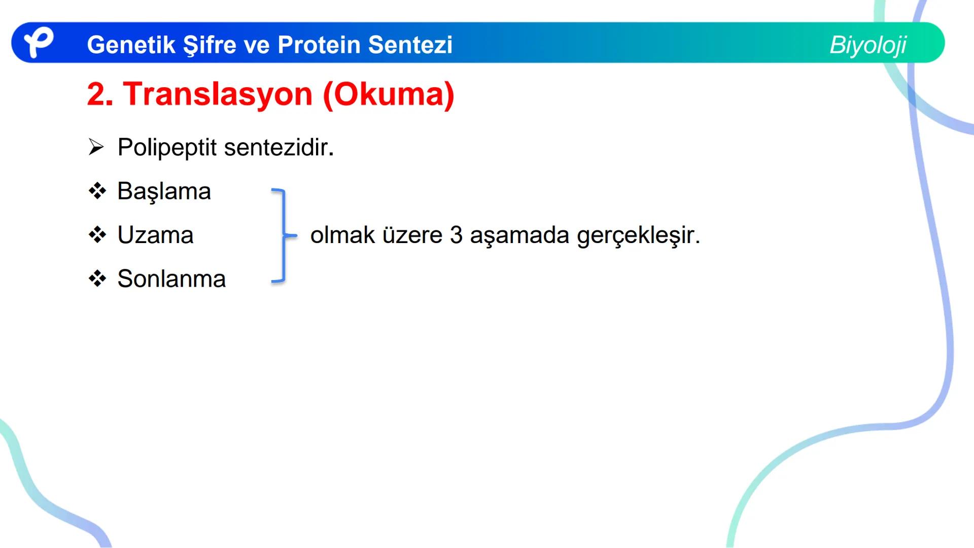 ## Biyoloji
## GENETİK ŞİFRE VE
## PROTEİN SENTEZİ ## Genetik Şifre ve Protein Sentezi
## Genetik Şifre
- **Şifre:** Bir bilgiyi bir form