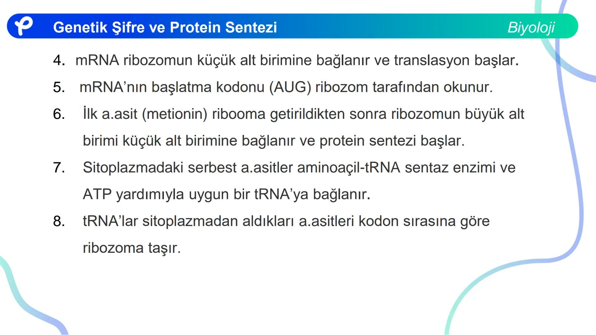 ## Biyoloji
## GENETİK ŞİFRE VE
## PROTEİN SENTEZİ ## Genetik Şifre ve Protein Sentezi
## Genetik Şifre
- **Şifre:** Bir bilgiyi bir form