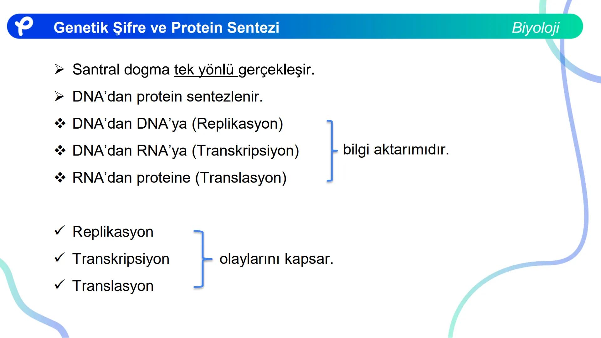 ## Biyoloji
## GENETİK ŞİFRE VE
## PROTEİN SENTEZİ ## Genetik Şifre ve Protein Sentezi
## Genetik Şifre
- **Şifre:** Bir bilgiyi bir form