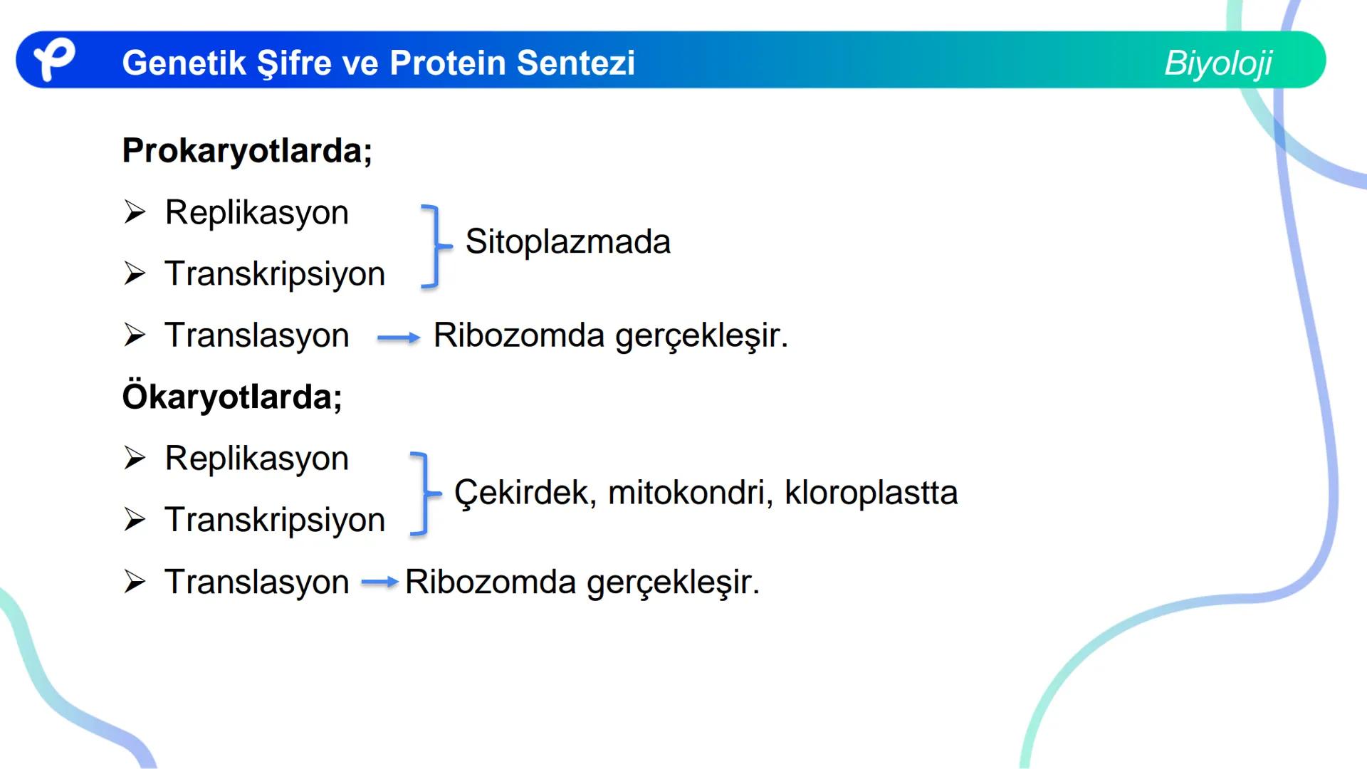 ## Biyoloji
## GENETİK ŞİFRE VE
## PROTEİN SENTEZİ ## Genetik Şifre ve Protein Sentezi
## Genetik Şifre
- **Şifre:** Bir bilgiyi bir form