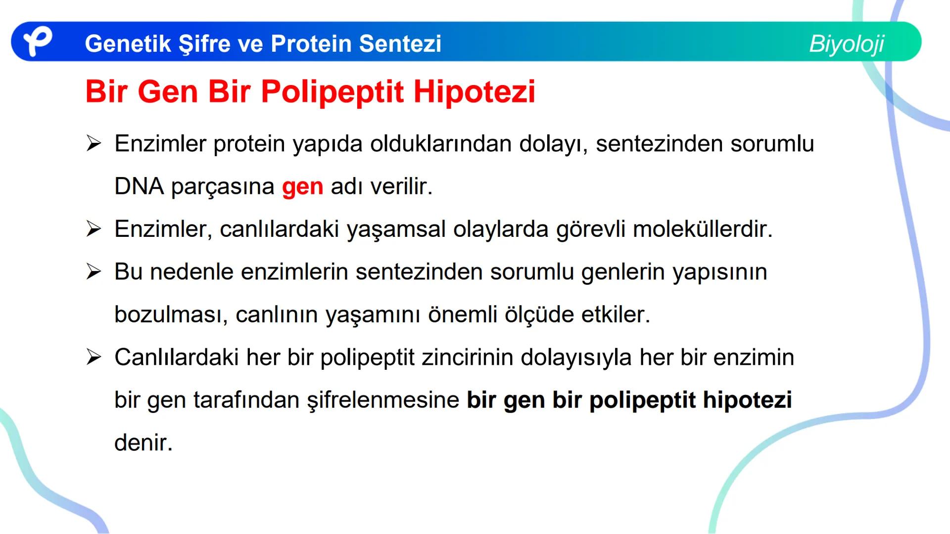 ## Biyoloji
## GENETİK ŞİFRE VE
## PROTEİN SENTEZİ ## Genetik Şifre ve Protein Sentezi
## Genetik Şifre
- **Şifre:** Bir bilgiyi bir form