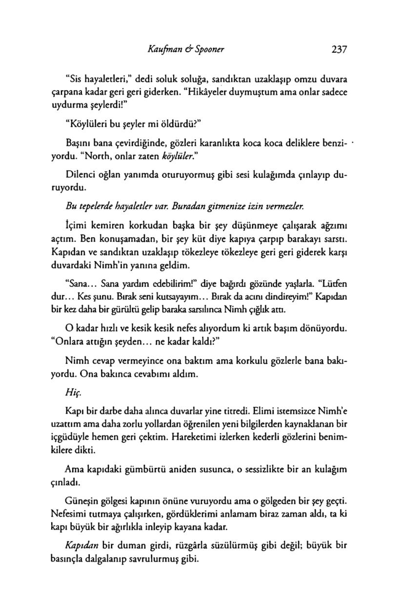 Page 234