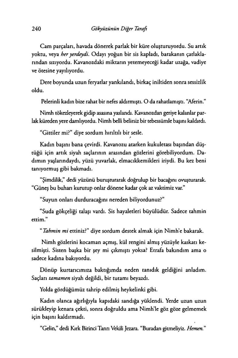 Page 237