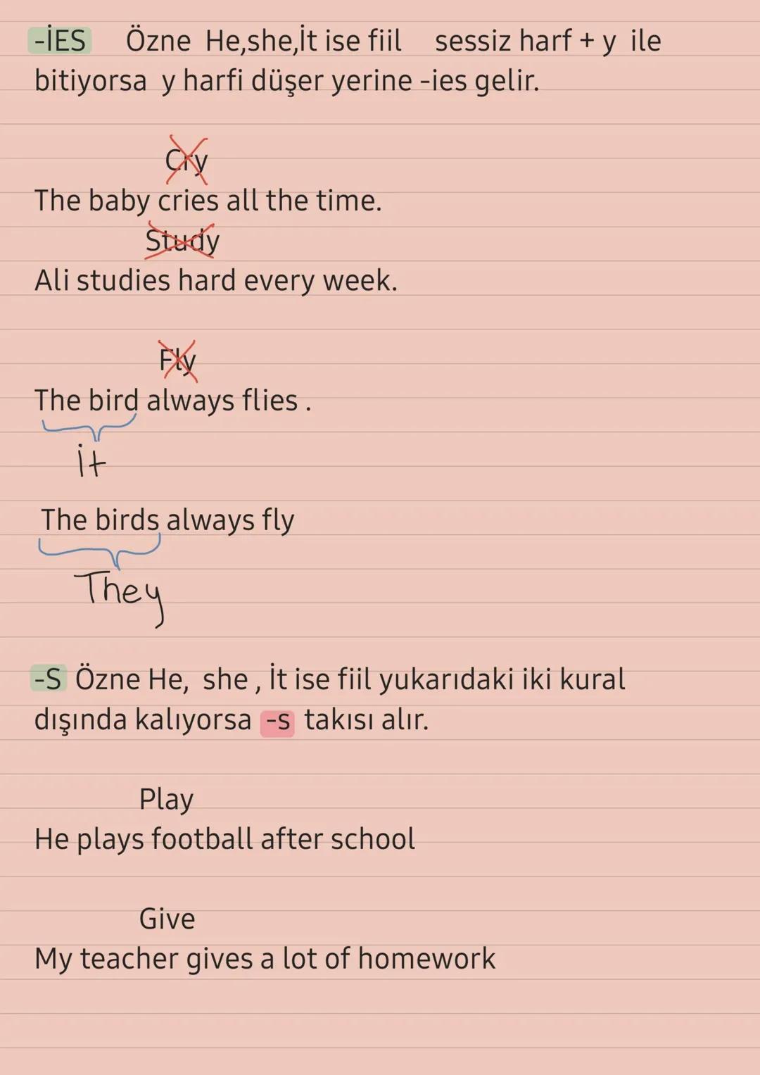 -İES Özne He, she, it ise fiil sessiz harf + y ile
bitiyorsa y harfi düşer yerine -ies gelir.
The baby cries all the time.
Study
Ali studie