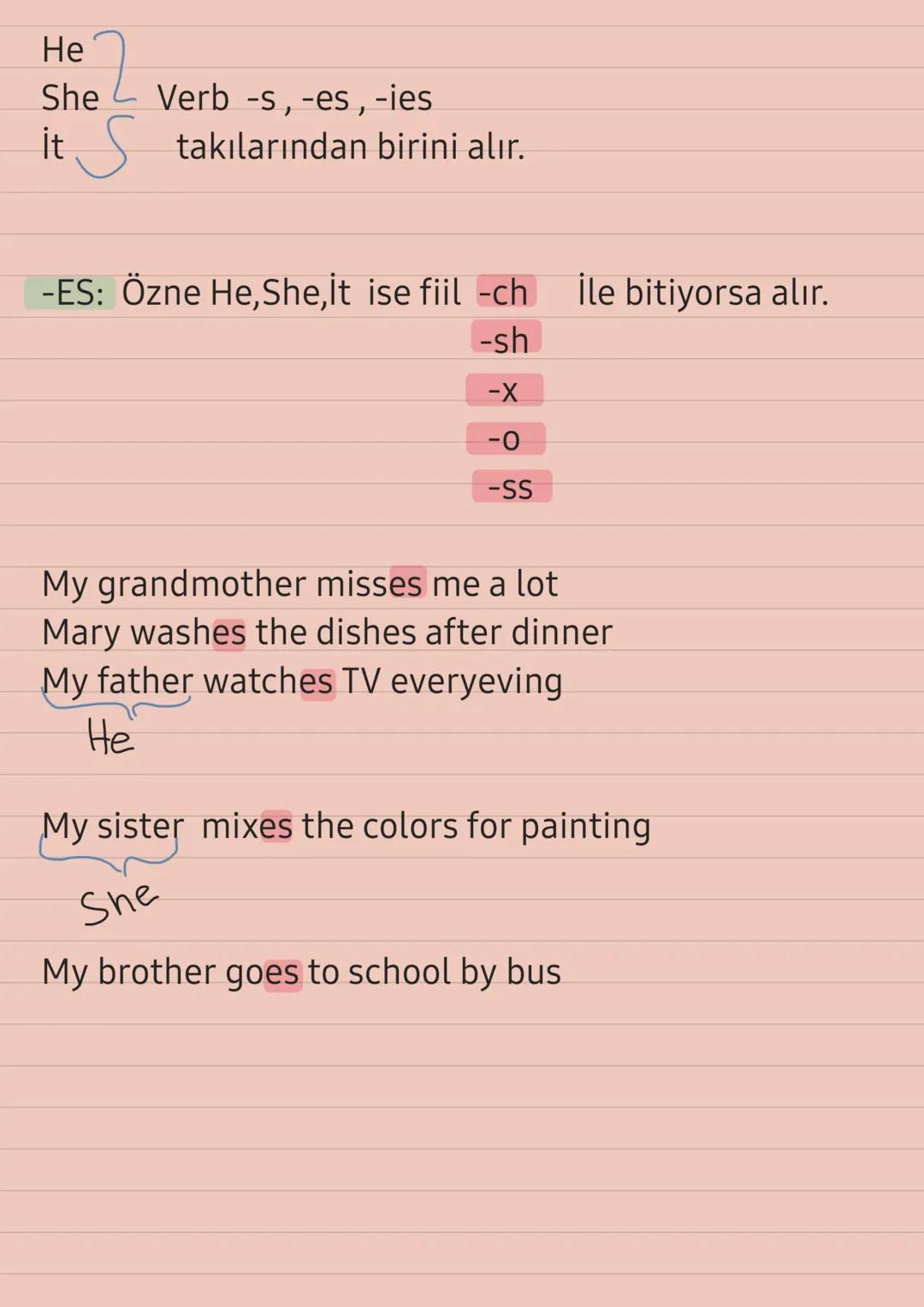 -İES Özne He, she, it ise fiil sessiz harf + y ile
bitiyorsa y harfi düşer yerine -ies gelir.
The baby cries all the time.
Study
Ali studie
