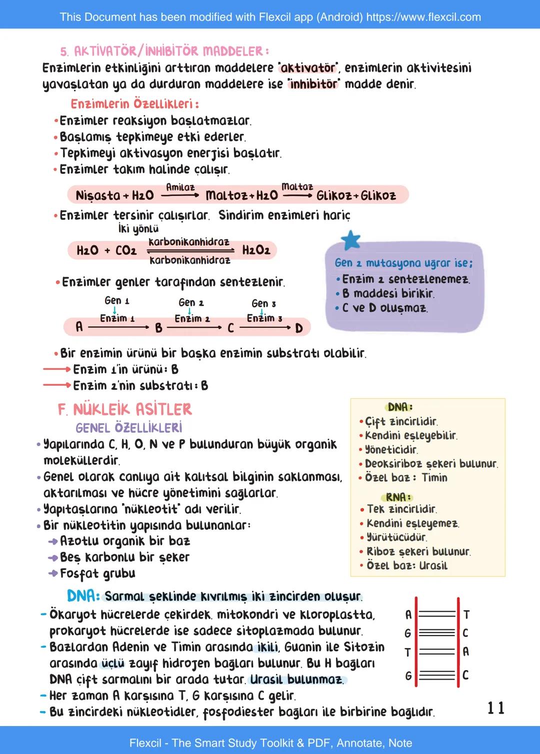 This Document has been modified with Flexcil app (Android) https://www.flexcil.com
# BİYOLOJİ
## İÇİNDEKİLER
Canlıların Ortak Özellikleri
