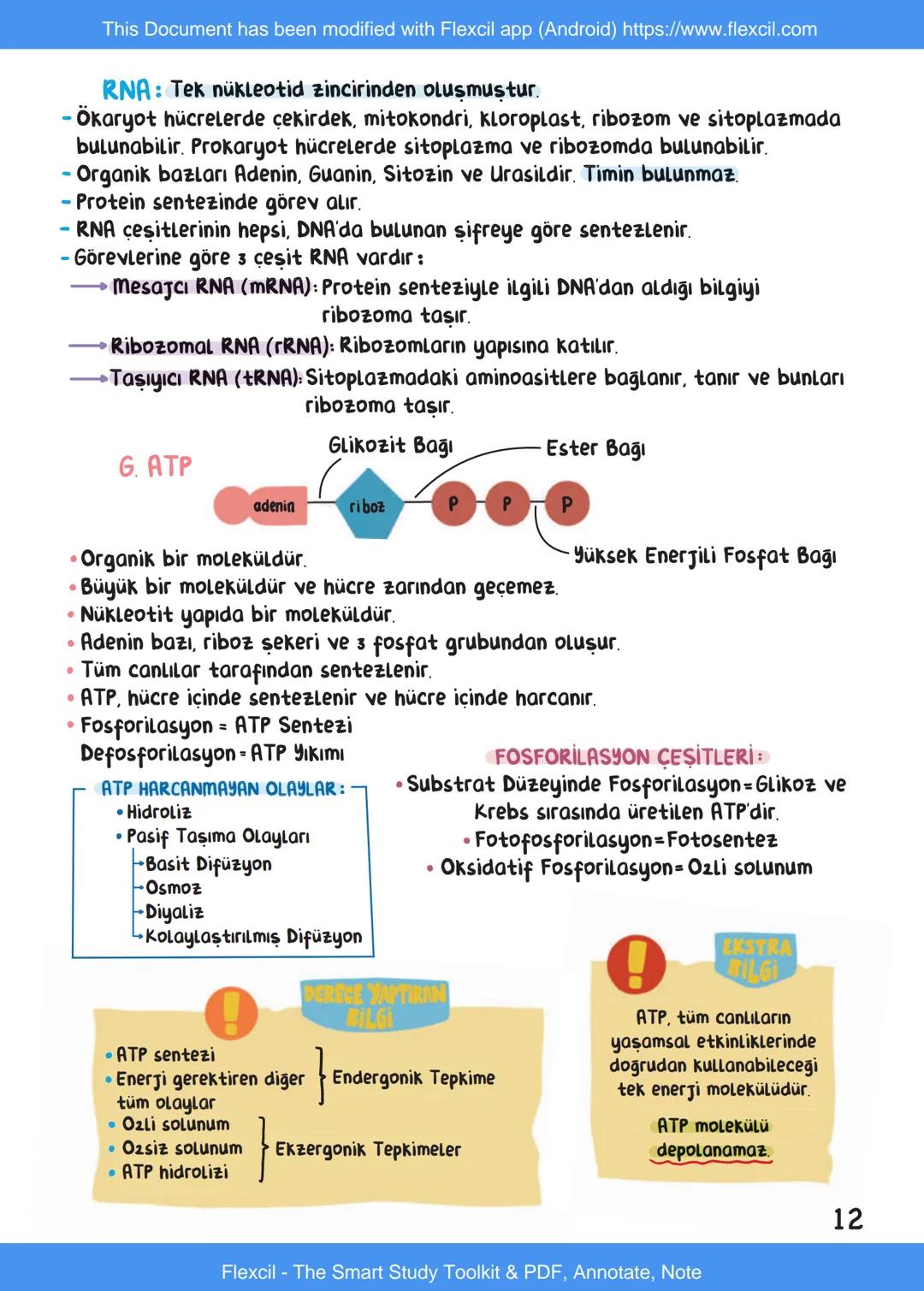 This Document has been modified with Flexcil app (Android) https://www.flexcil.com
# BİYOLOJİ
## İÇİNDEKİLER
Canlıların Ortak Özellikleri