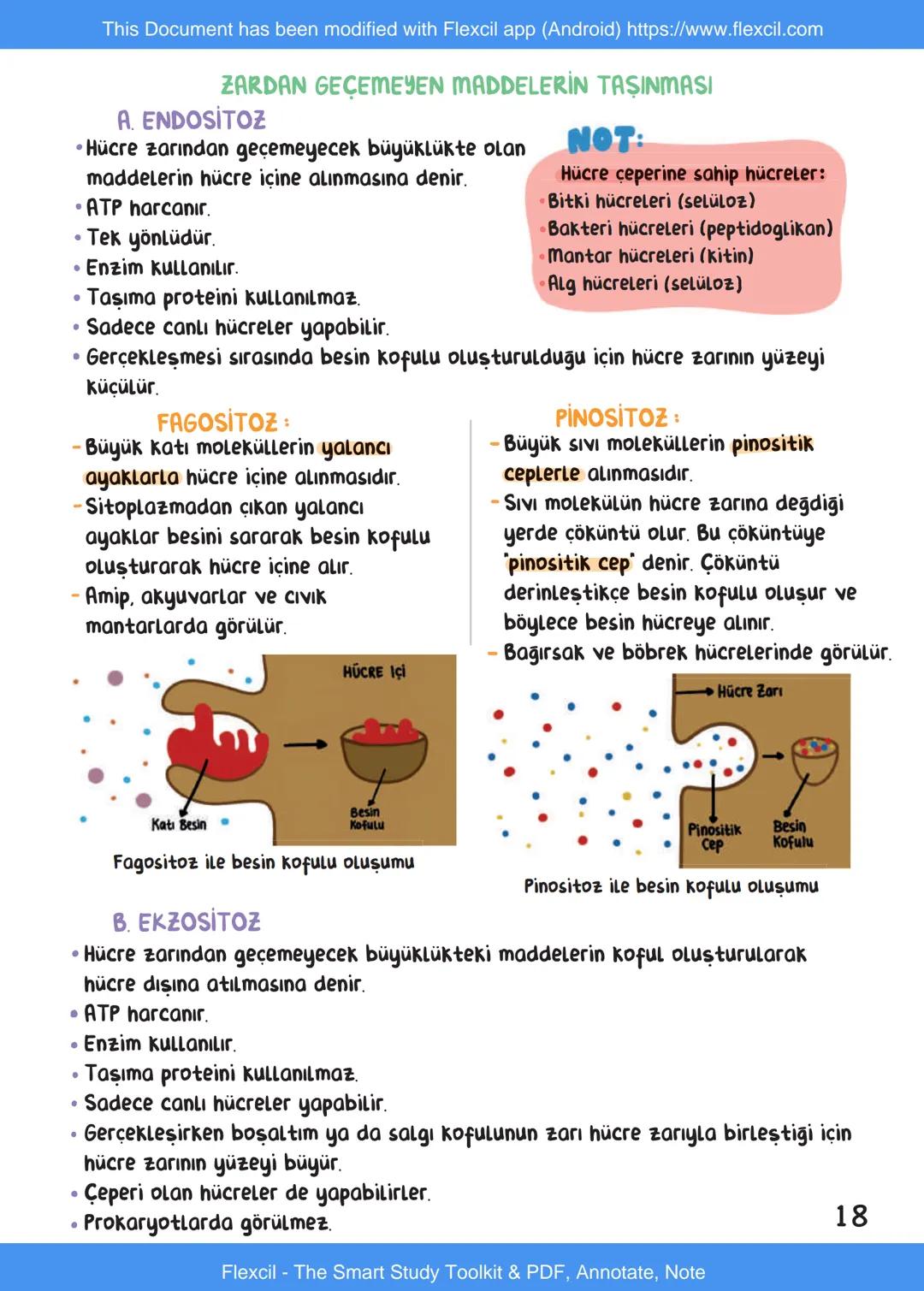 This Document has been modified with Flexcil app (Android) https://www.flexcil.com
# BİYOLOJİ
## İÇİNDEKİLER
Canlıların Ortak Özellikleri